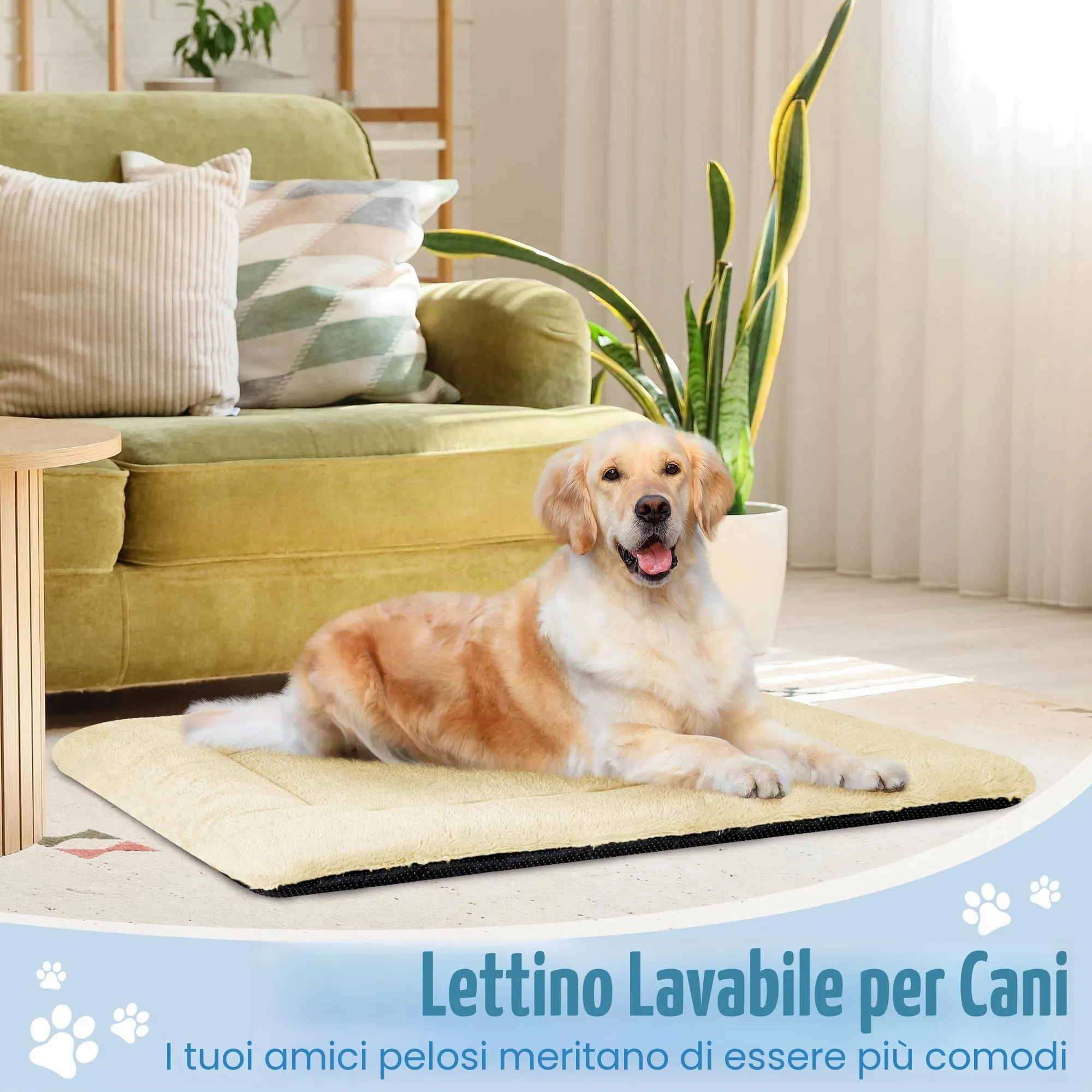 BaoDan Cuccia Cane Interno Taglia Grande, Cuscino 122x75 cm, Lavabile - immagine 6