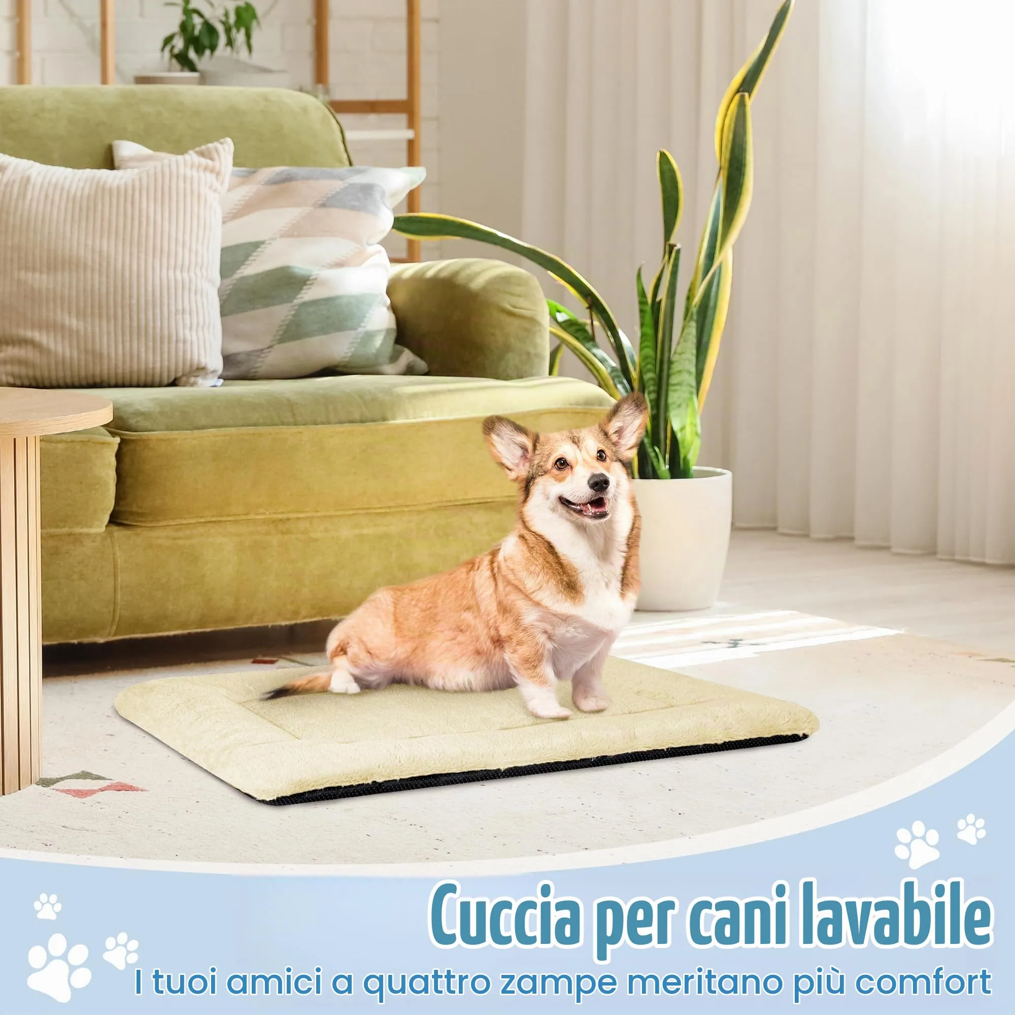 BaoDan Cuccia Cane Interno, Cuscino Lavabile, 75x50 cm - immagine 6
