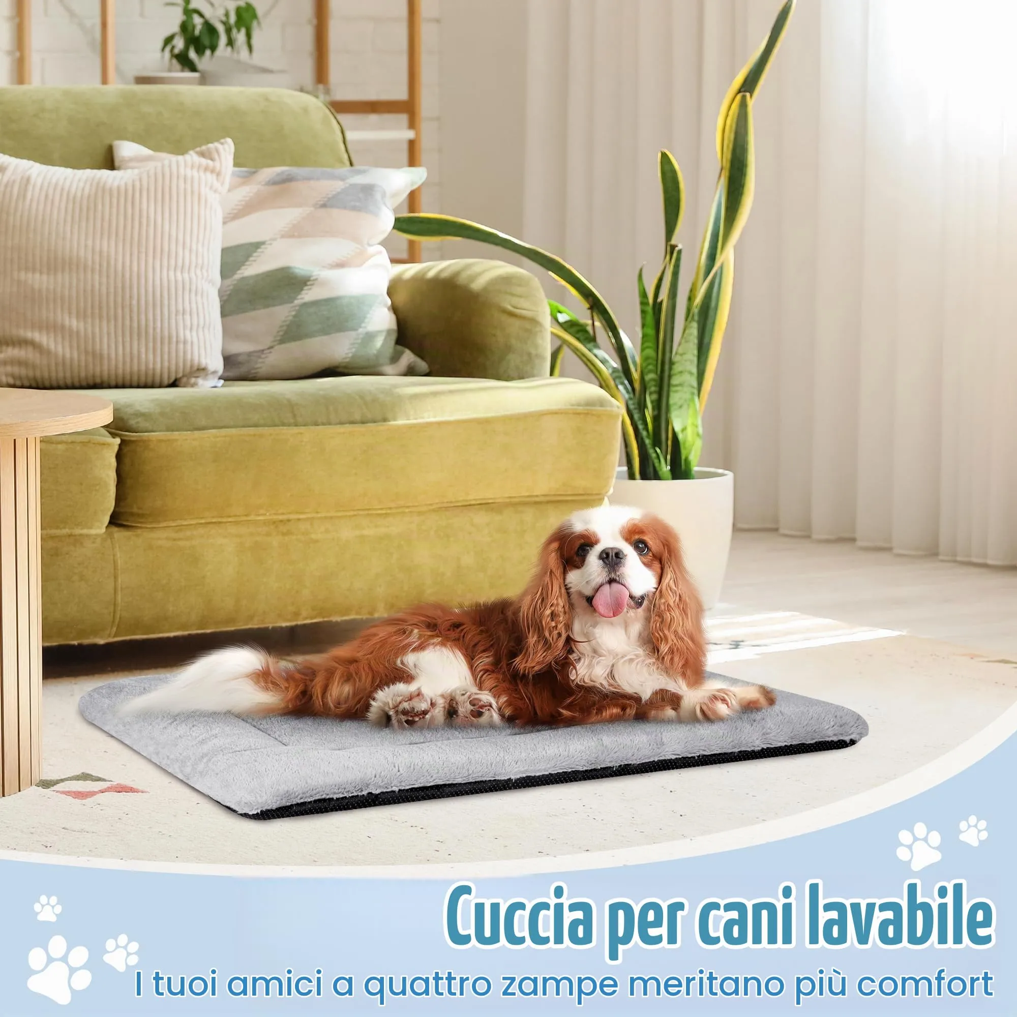 BaoDan Cuccia Cane Interno Taglia Grande, Cuscino Lavabile, 90x60 cm - immagine 7
