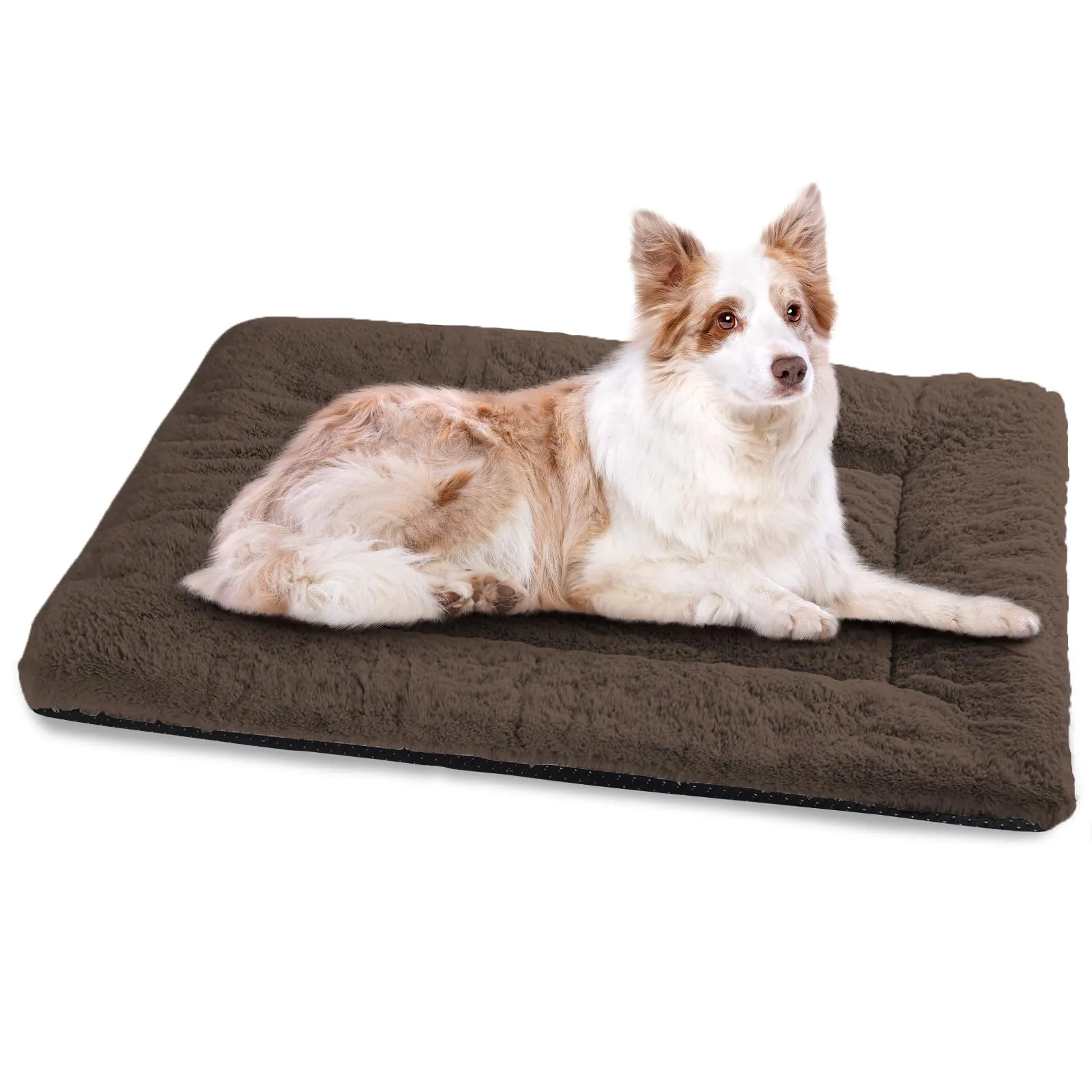BaoDan Cuccia Cane Interno, Taglia Grande 106x71 cm, Cuscino Lavabile - immagine 1
