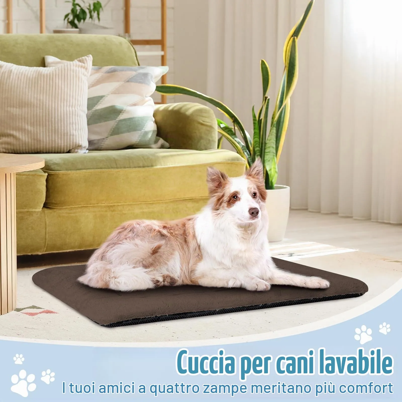 BaoDan Cuccia Cane Interno, Taglia Grande 106x71 cm, Cuscino Lavabile - immagine 7