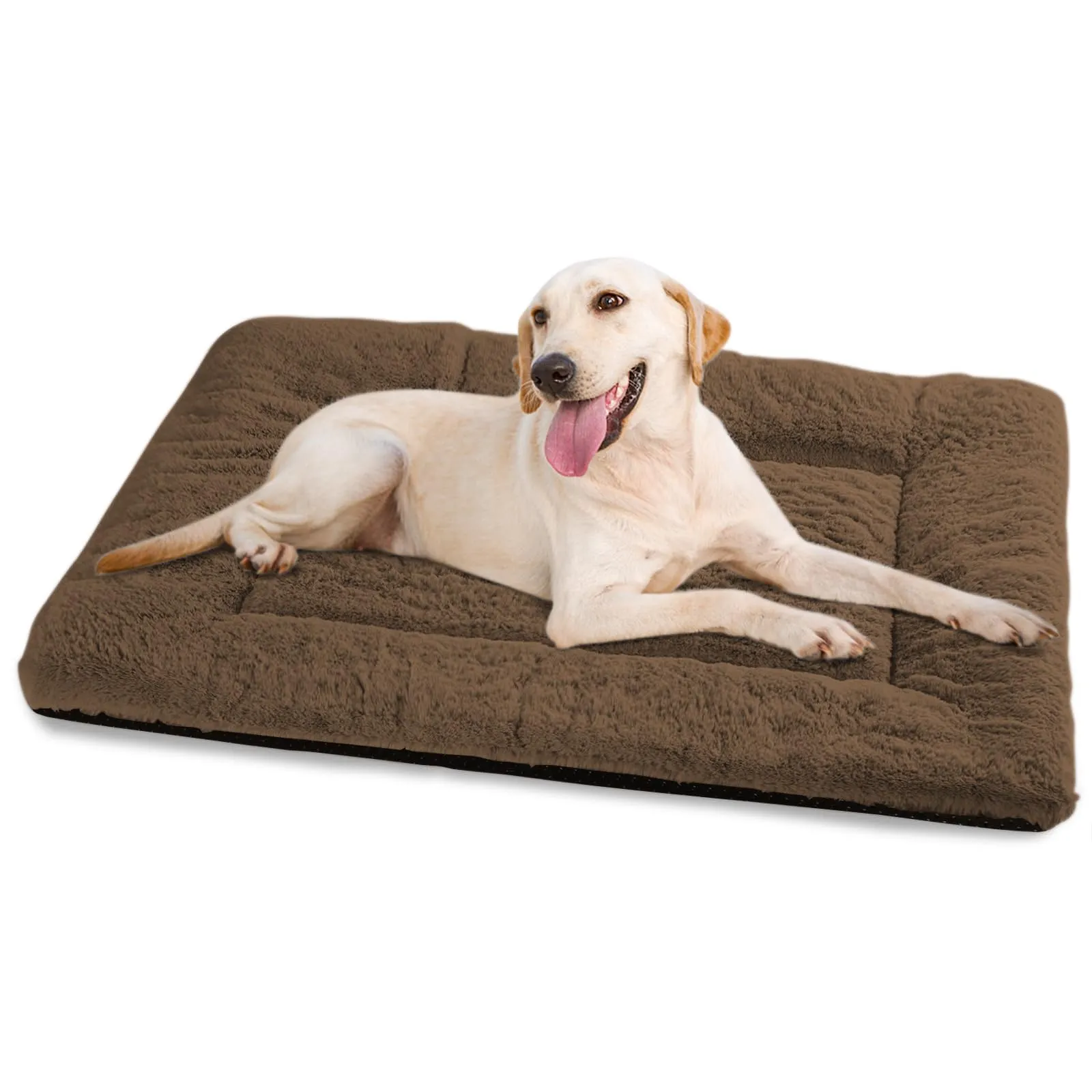 BaoDan Cuccia Cane Interno Taglia Grande, 122x75 cm Cuscino Cane Lavabile - immagine 1