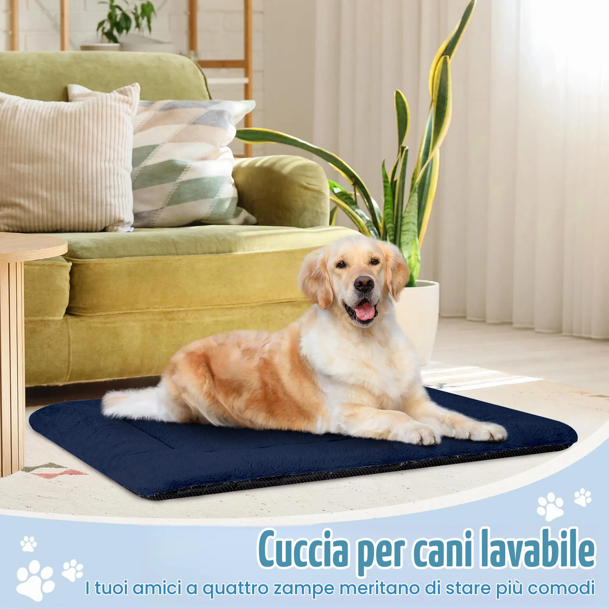 BaoDan Cuccia Cane Interno Lavabile, Taglia Grande, 122x75 cm - immagine 6