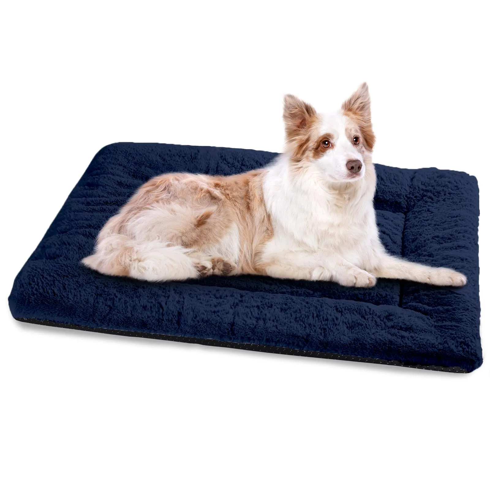 BaoDan Cuccia Cane Interno Taglia Grande, Lavabile, 106x71 cm - immagine 1