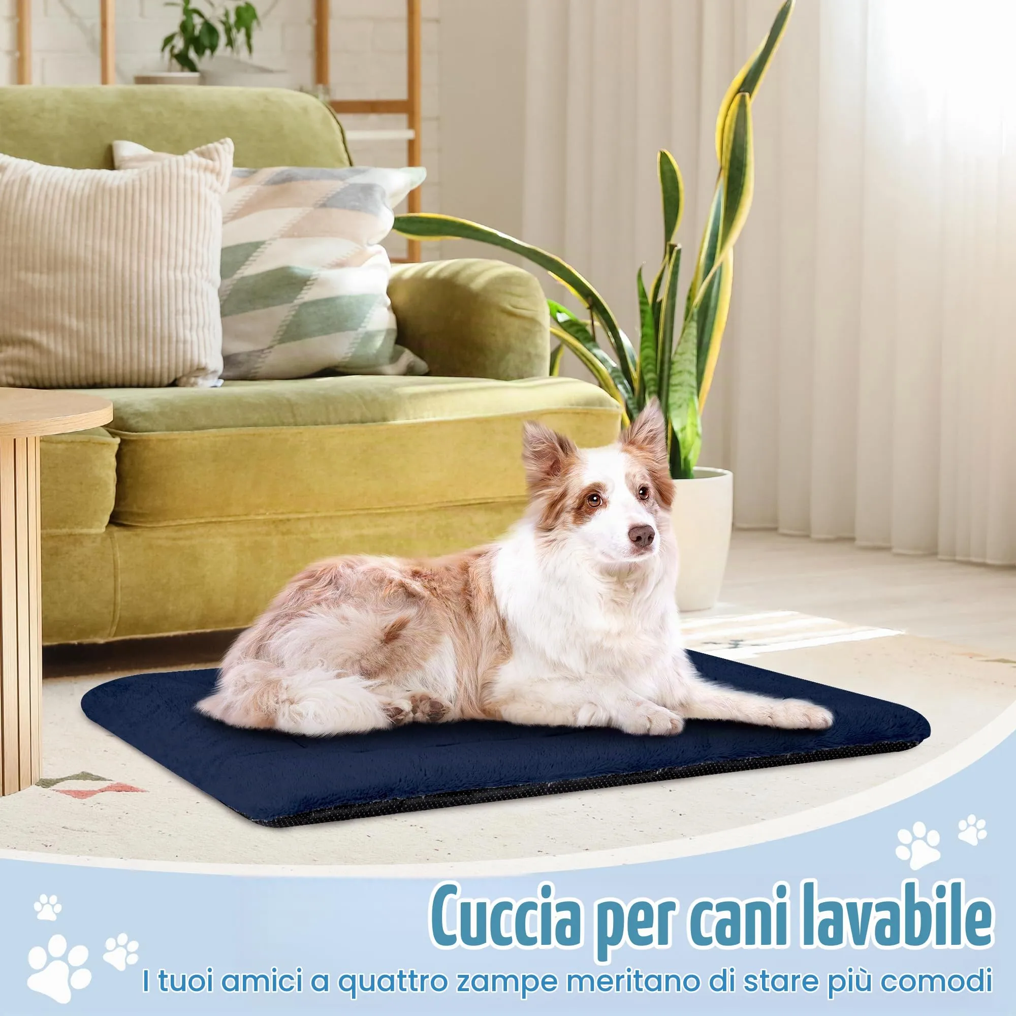 BaoDan Cuccia Cane Interno Taglia Grande, Lavabile, 106x71 cm - immagine 6