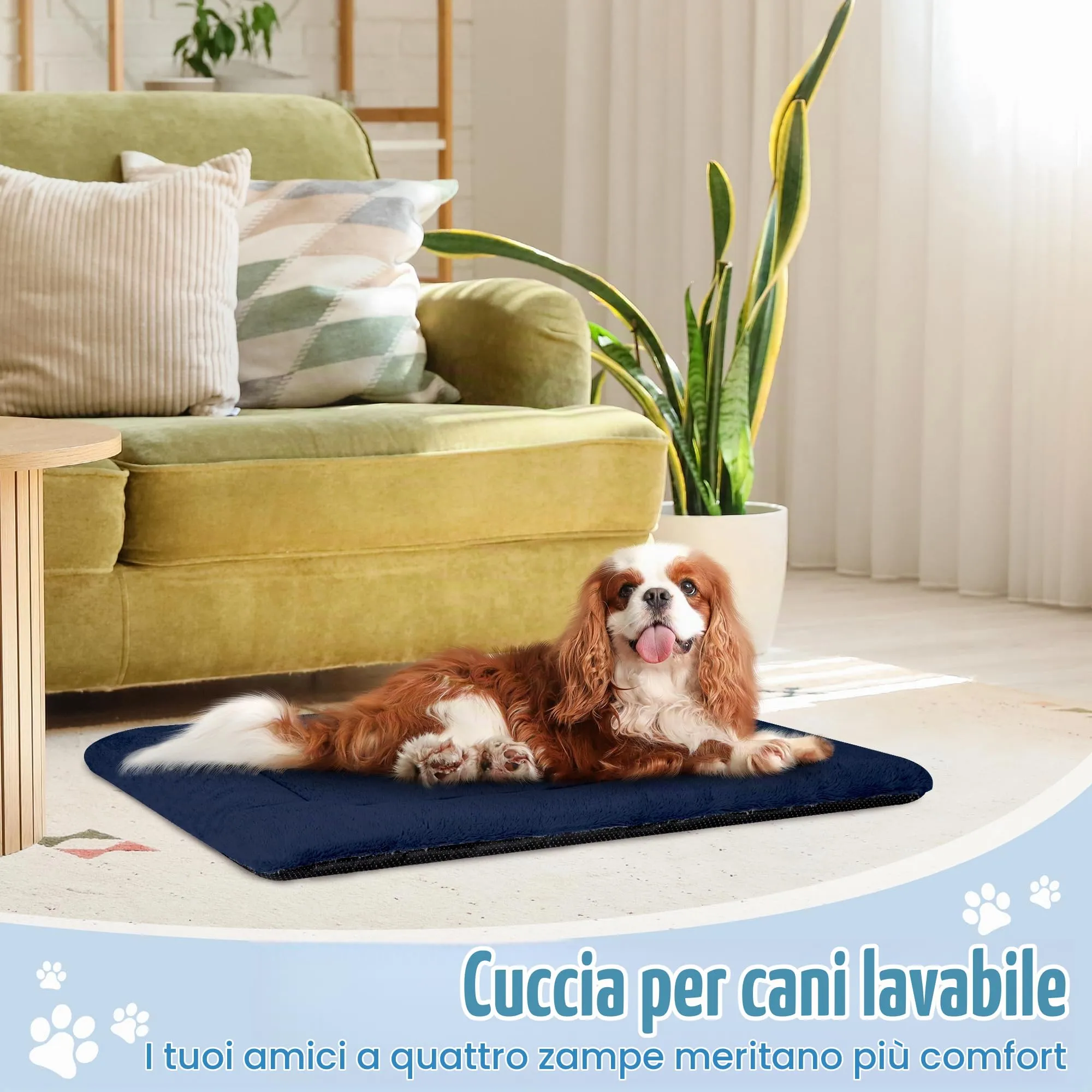 BaoDan Cuccia Cane Interno, Cuscino Lavabile, 90x60 cm - immagine 6