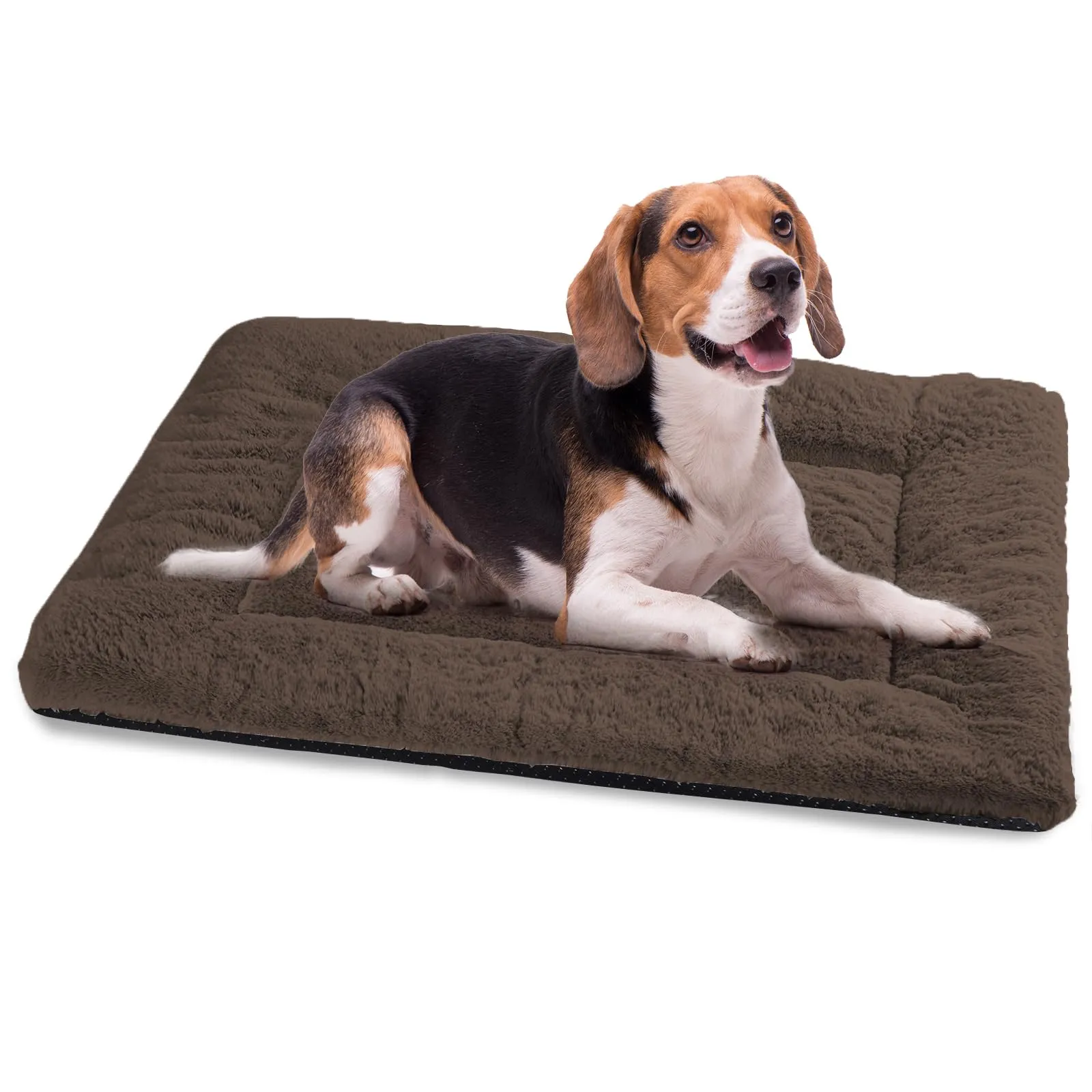 BaoDan Cuccia Cane Interno Taglia Grande, 90x60 cm, Cuscino Lavabile - immagine 1