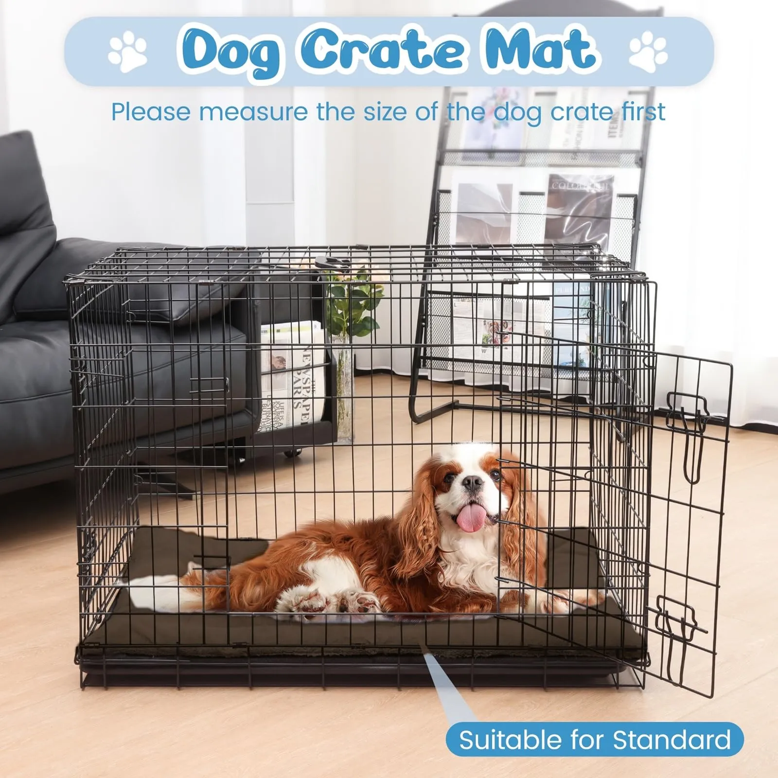 BaoDan Cuccia Cane Interno Taglia Grande, 90x60 cm, Cuscino Lavabile - immagine 5
