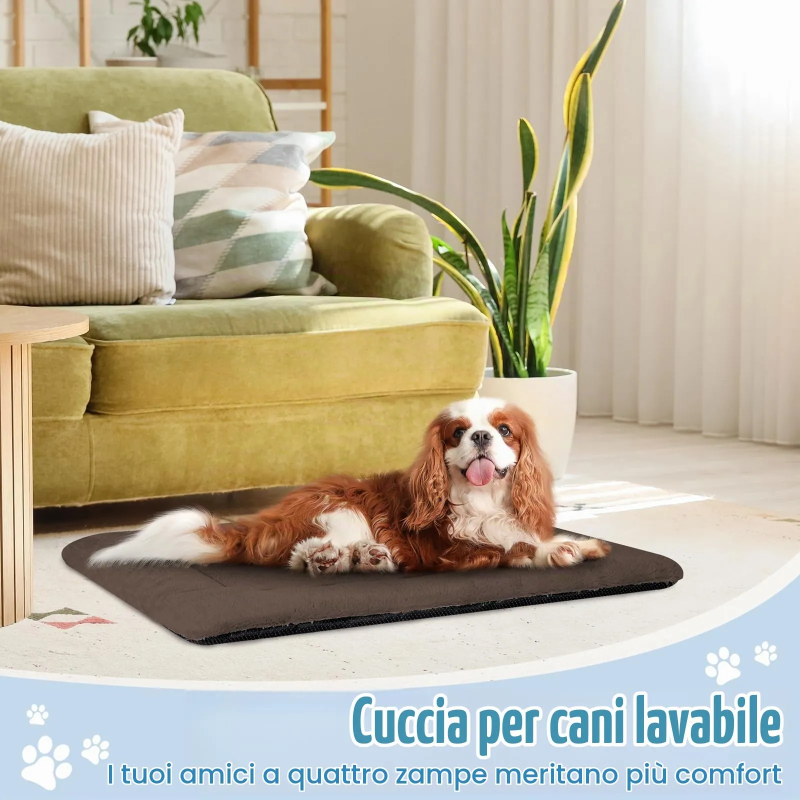 BaoDan Cuccia Cane Interno Taglia Grande, 90x60 cm, Cuscino Lavabile - immagine 6