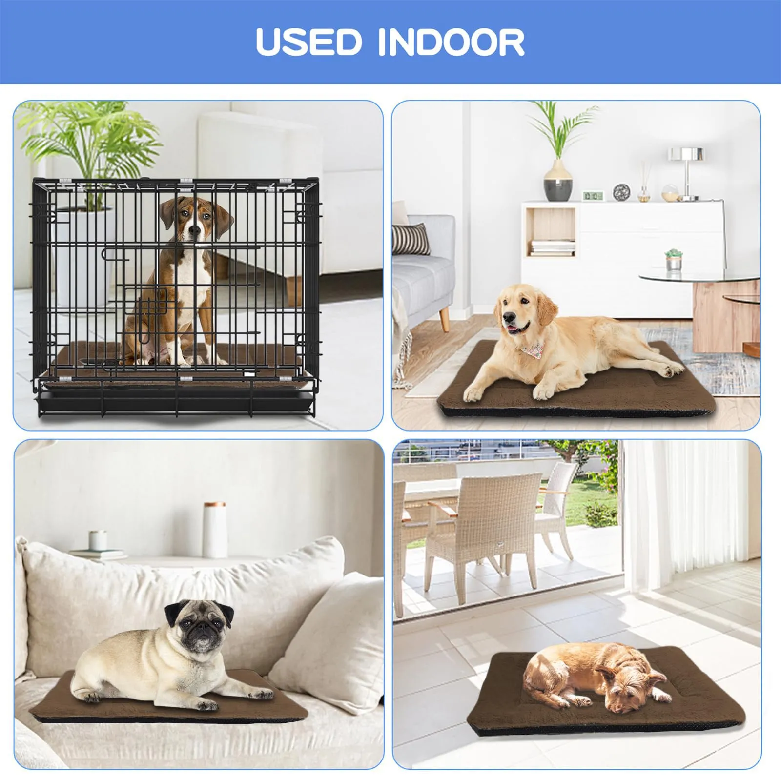 BaoDan Cuccia Cane Interno Taglia Grande, 90x60 cm, Cuscino Lavabile - immagine 7