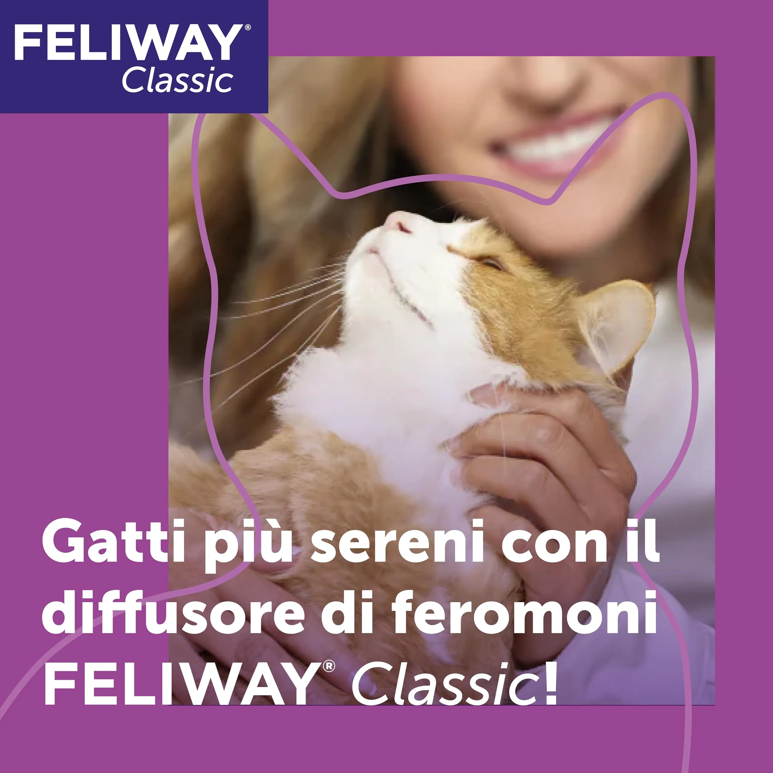 FELIWAY Classic Ricarica di Feromoni Calmanti per Gatti, 3 x 48ml - immagine 2