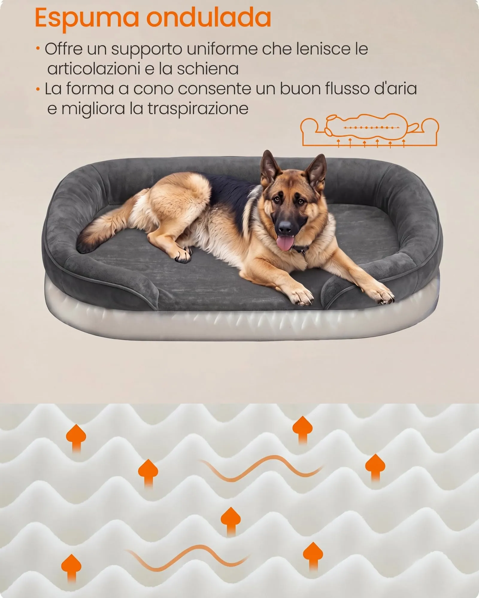 Feandrea Cuccia Ortopedica per Cani di Taglia Grande, 122 x 85 x 18 cm - immagine 3