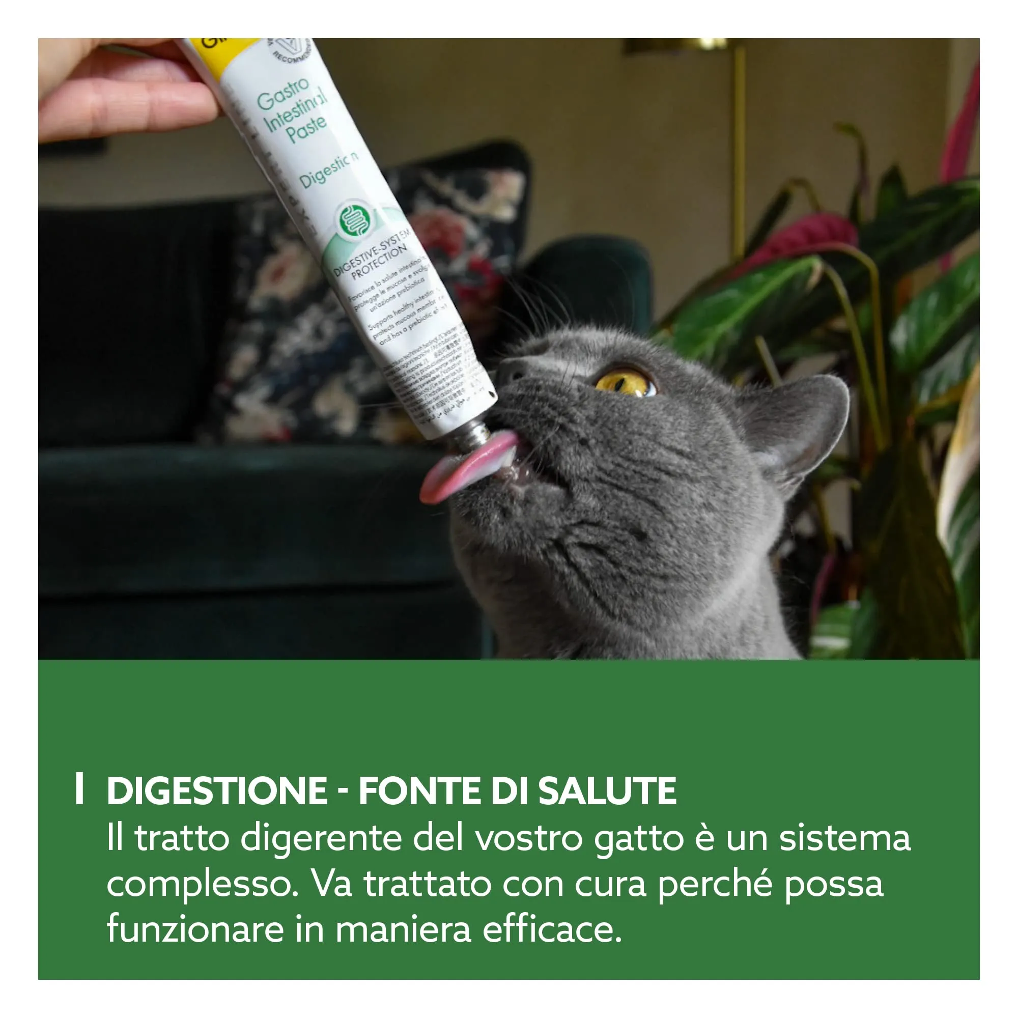 GimCat Expert Line Gastro Intestinal Pasta, 50 g - immagine 3