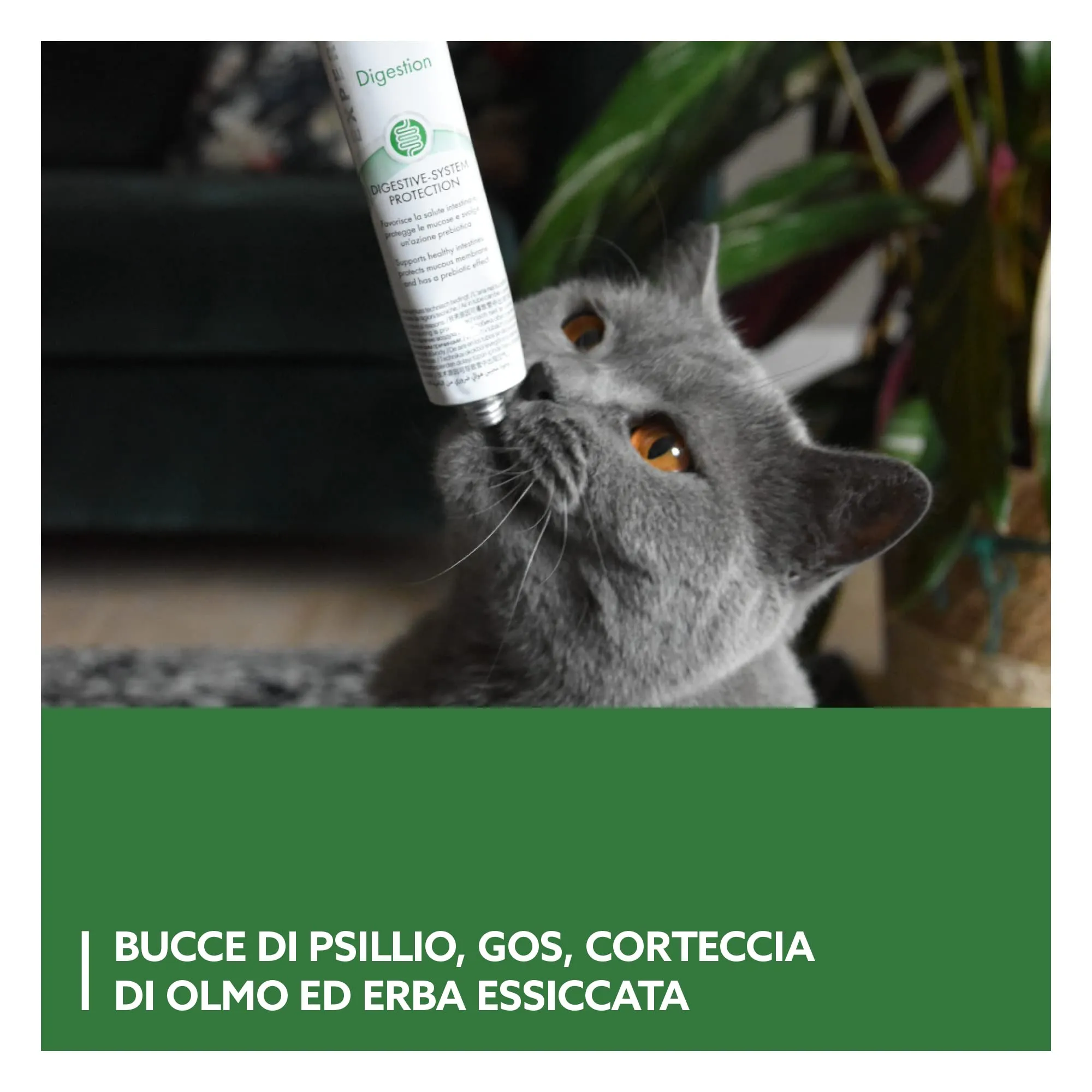 GimCat Expert Line Gastro Intestinal Pasta, 50 g - immagine 4