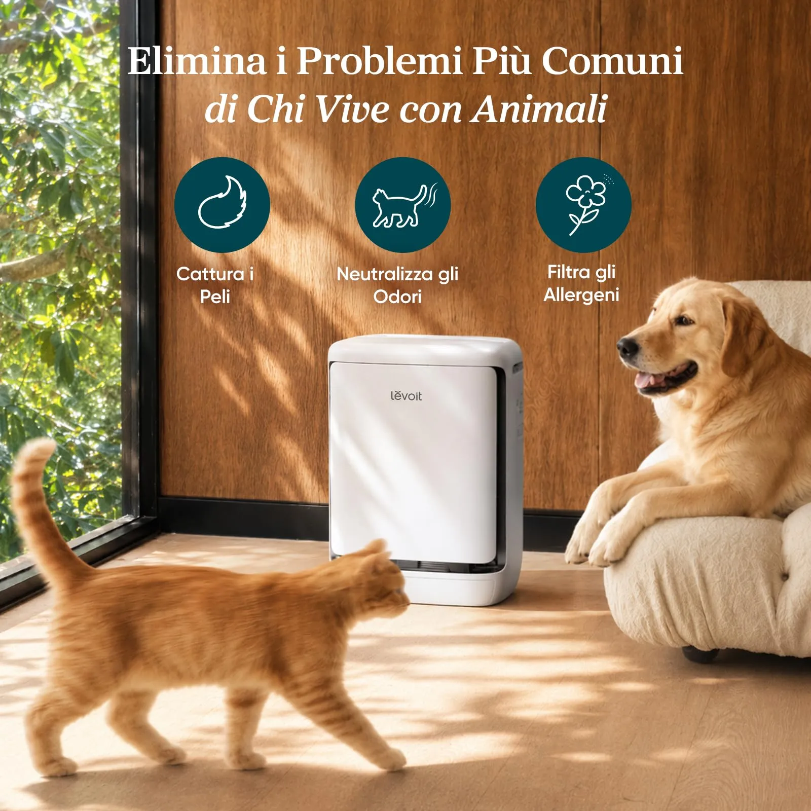 Levoit Vital Pet Pro Purificatore d'Aria per Animali Domestici LAP-P501S, fino a 53m² - immagine 2