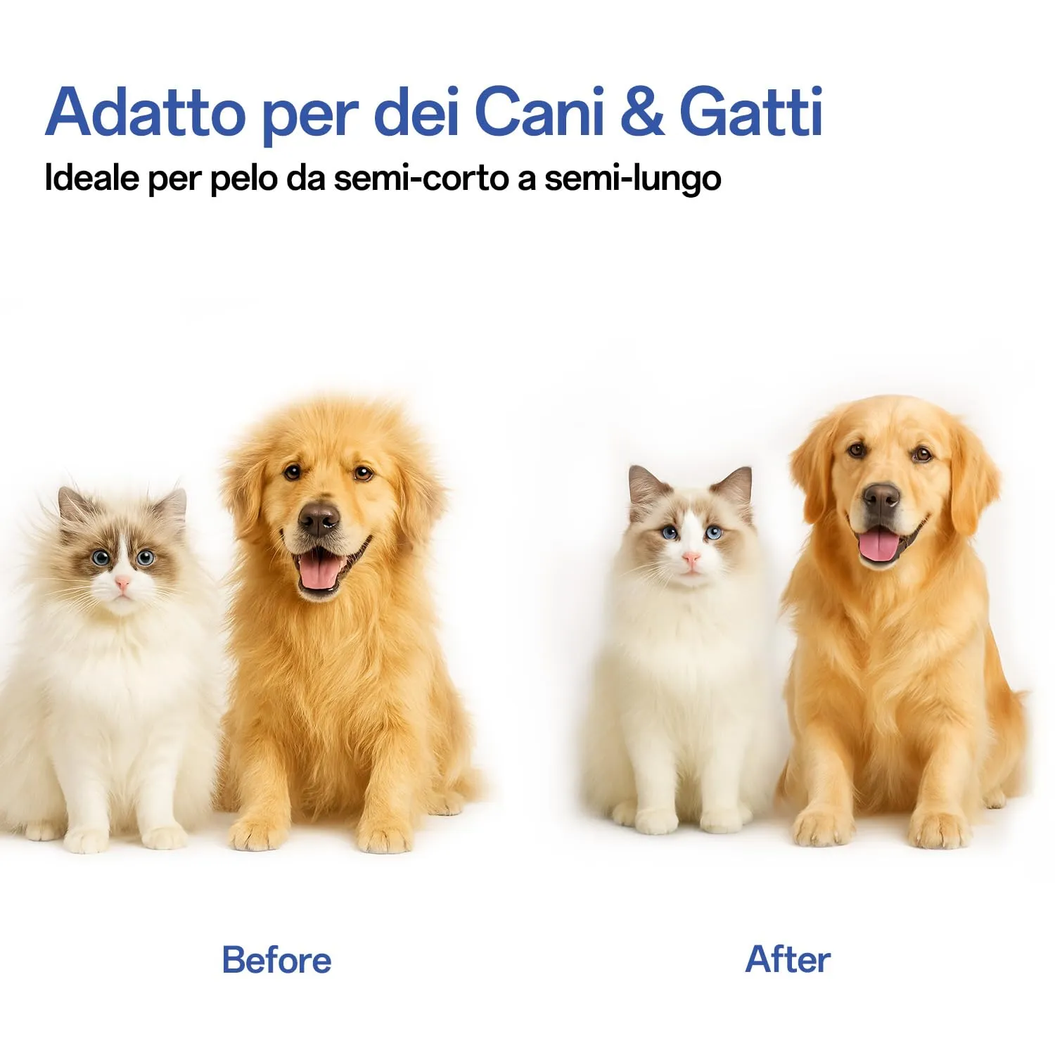ACE2ACE Spazzola Autopulente per Gatti e Cani, Pelo Lungo e Corto, Blu - immagine 6
