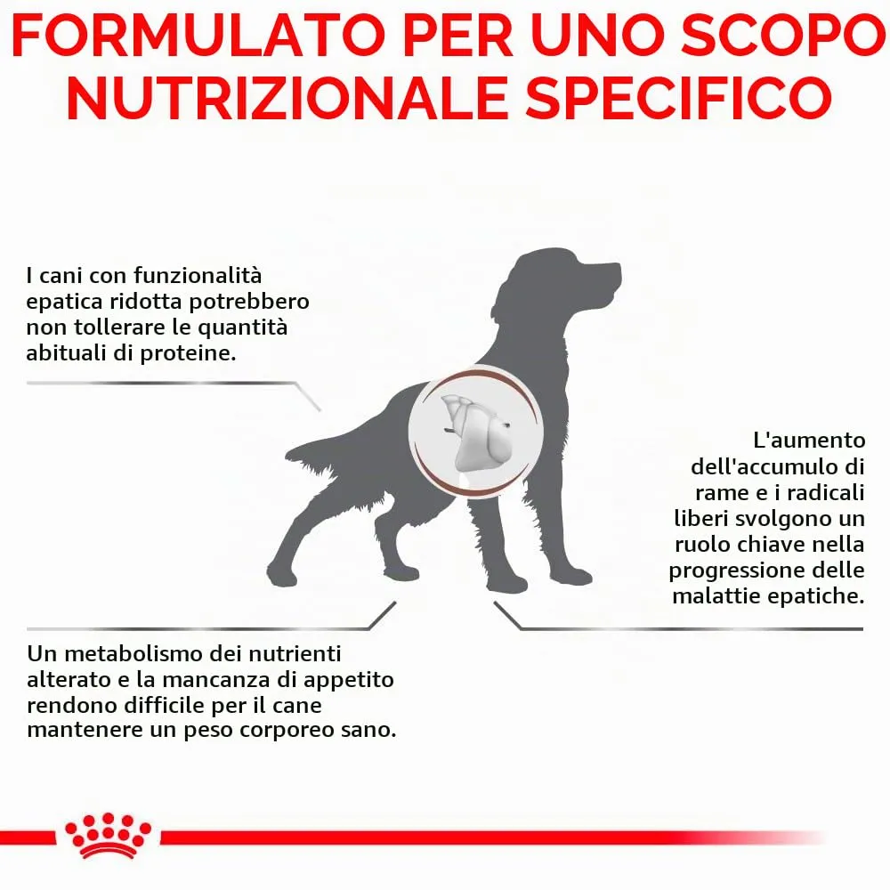 Royal Canin Veterinary Hepatic Alimento Dietetico Completo per Cani Adulti, 1.5 kg - immagine 4