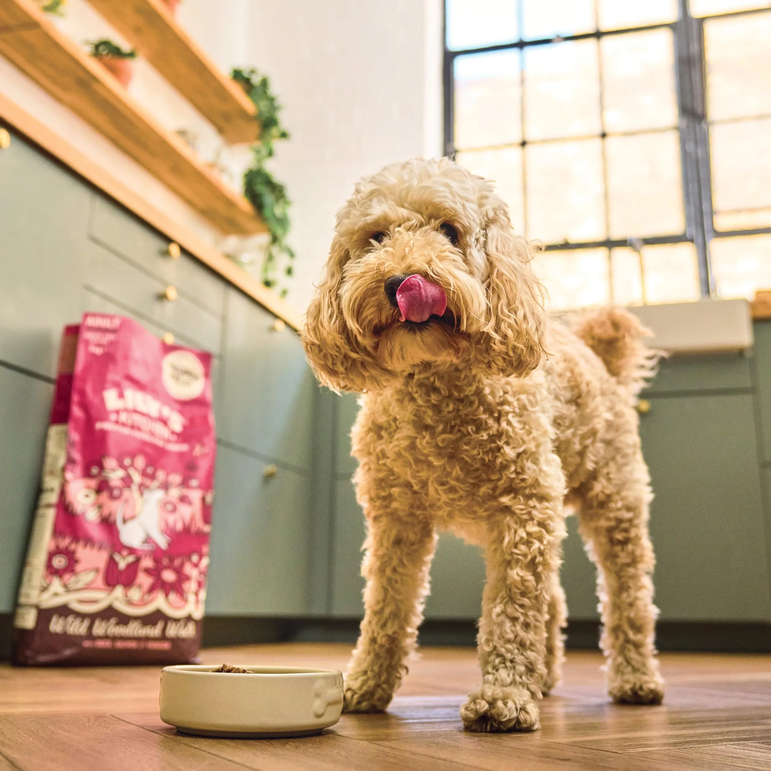 Lily's Kitchen Cibo secco per cani adulti senza cereali con anatra, salmone e cervo, 2.5kg - immagine 2