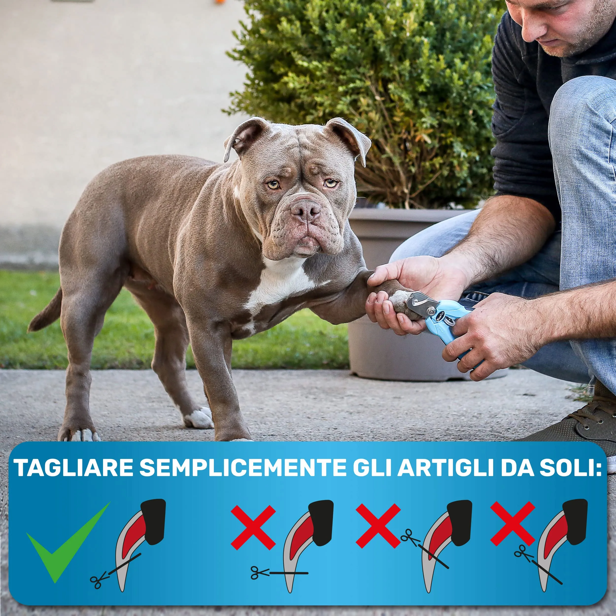 BluePet Tagliaunghie Regolabile per Cane e Gatto, Forbici Unghie Grandi M-XL - immagine 7