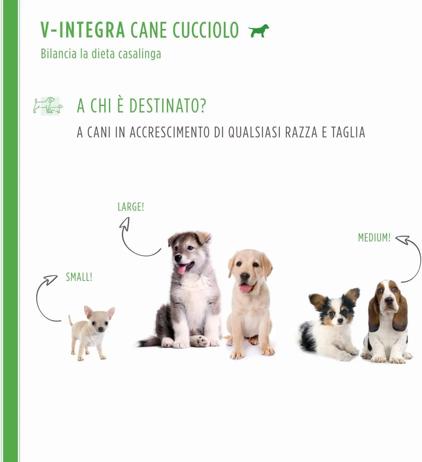 V-INTEGRA Cane Cucciolo Integratore Multivitaminico 500g - immagine 3