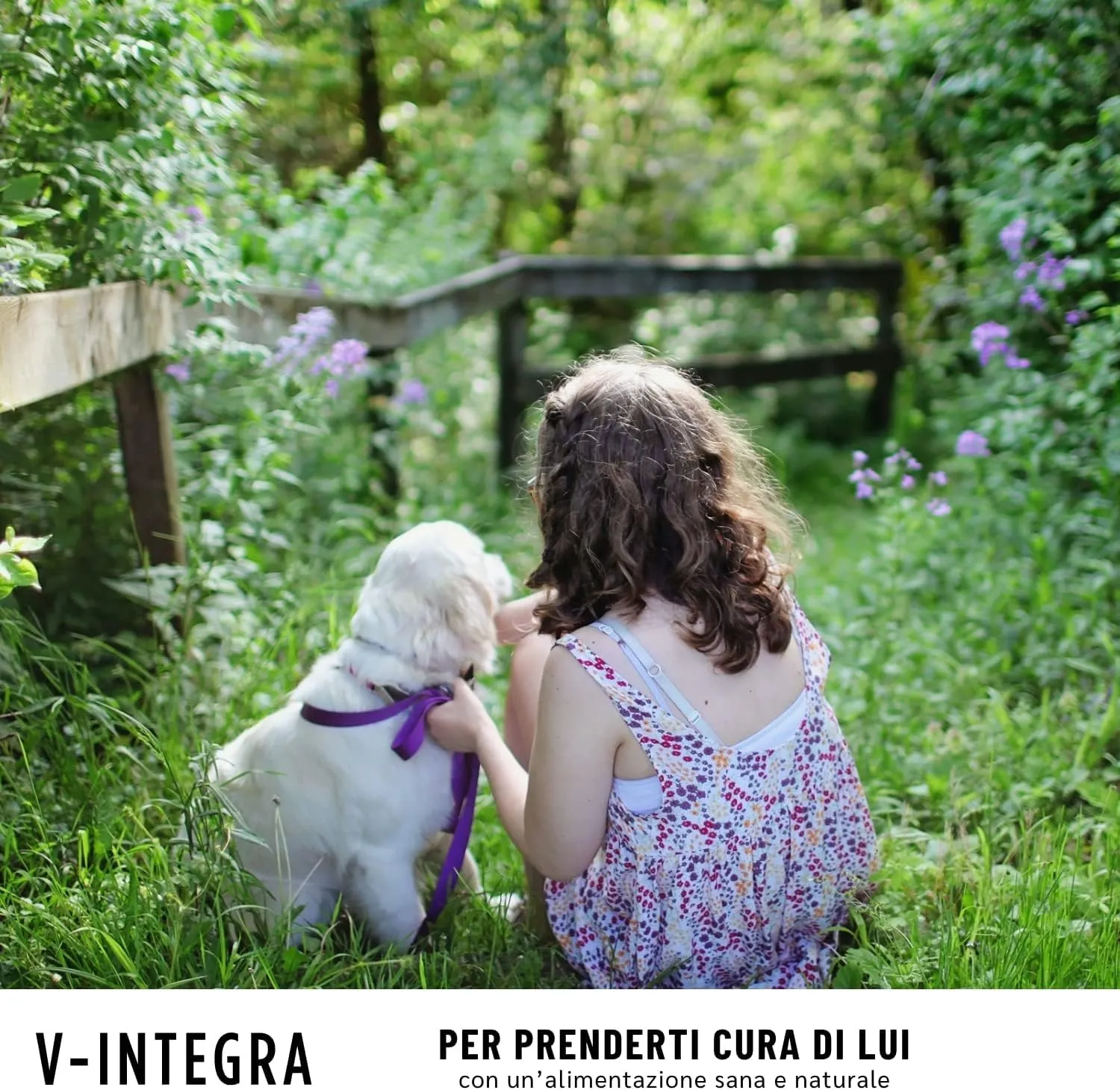 V-INTEGRA Cane Cucciolo Integratore Multivitaminico 500g - immagine 8