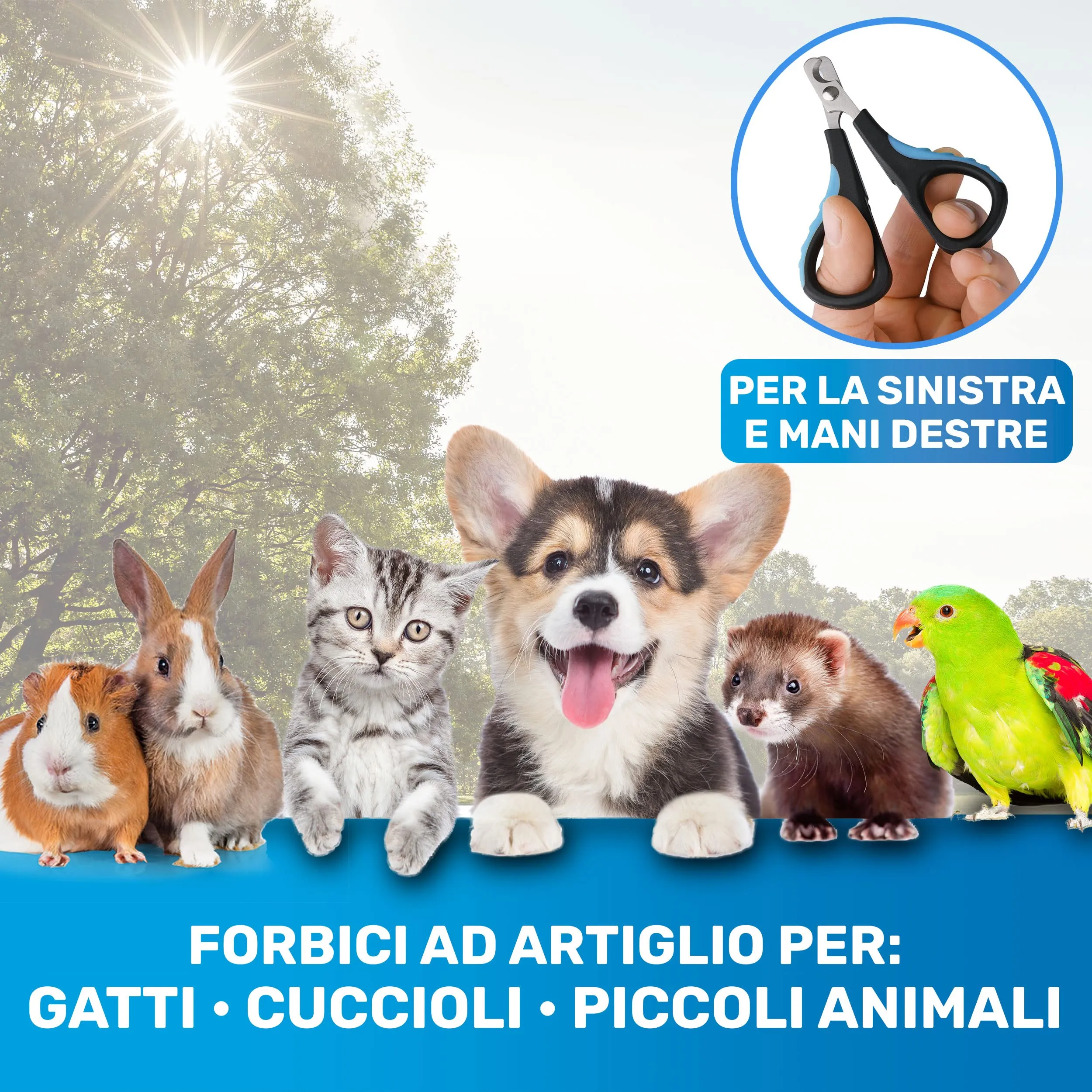 BluePet Tagliaunghie per Cane e Gatto, Forbici per Piccoli Animali, Rosa - immagine 4