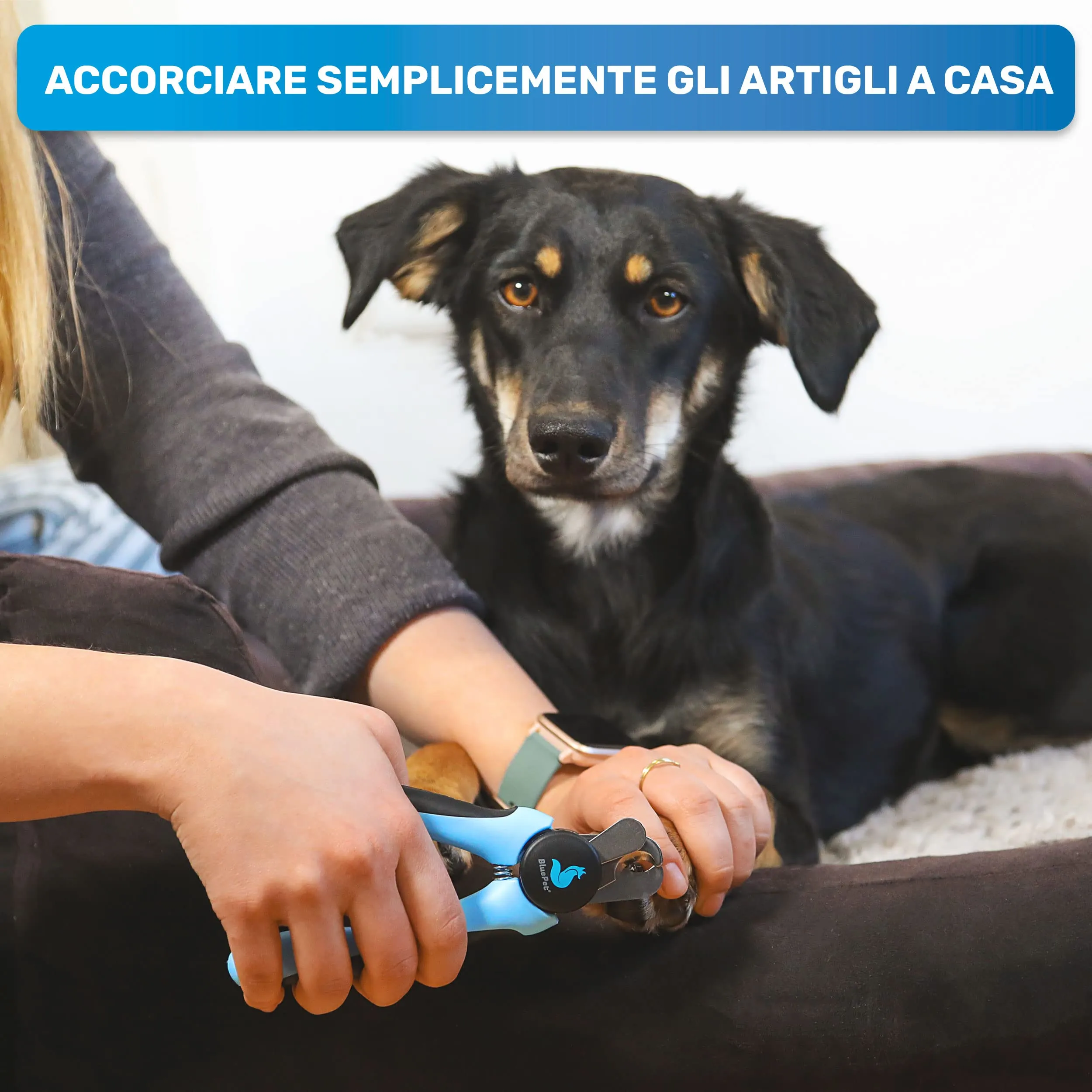 BluePet Tagliaunghie Professionali per Cani con Protezione e Lima, M-L, Rosa - immagine 2