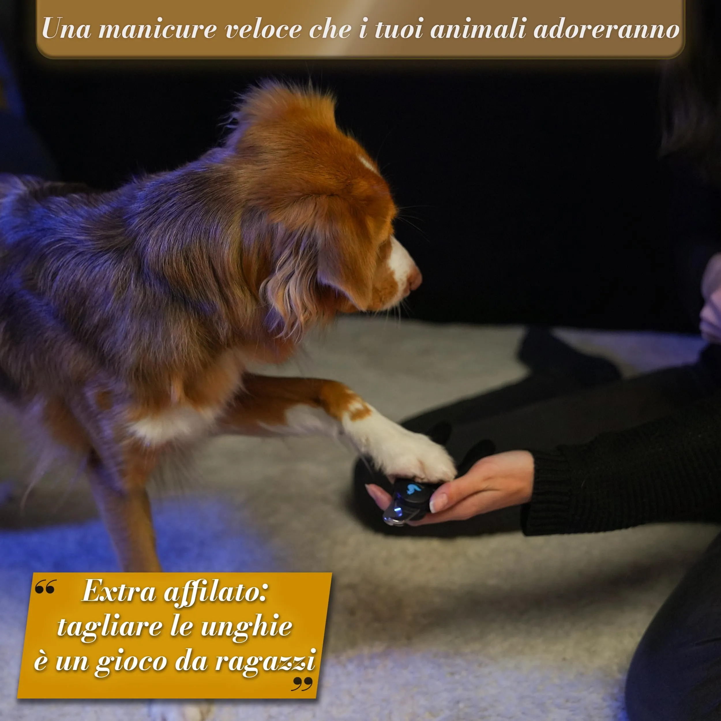 BluePet Tagliaunghie Professionali per Cani con Protezione e Lima, Taglia M-L, Schwarz Limited Edition - immagine 2