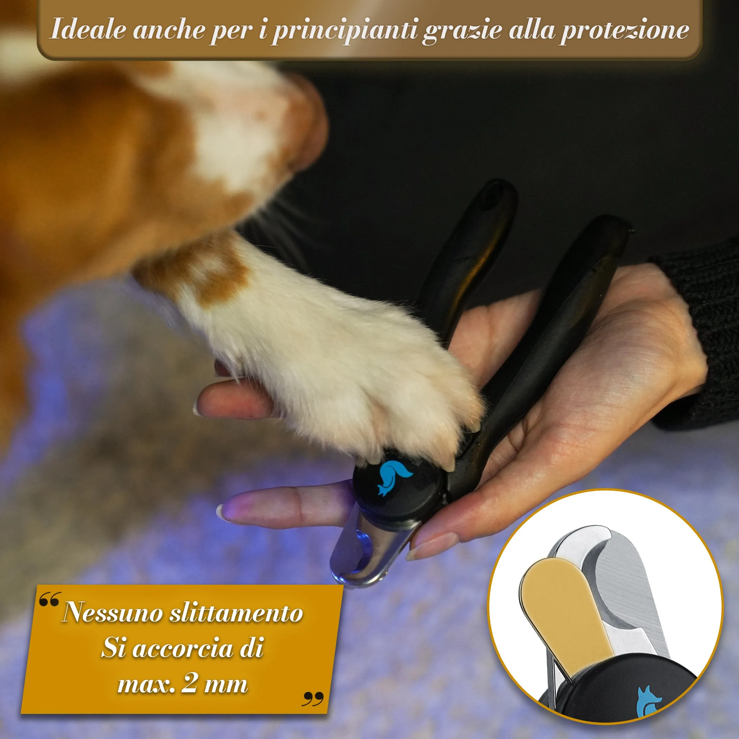 BluePet Tagliaunghie Professionali per Cani con Protezione e Lima, Taglia M-L, Schwarz Limited Edition - immagine 4