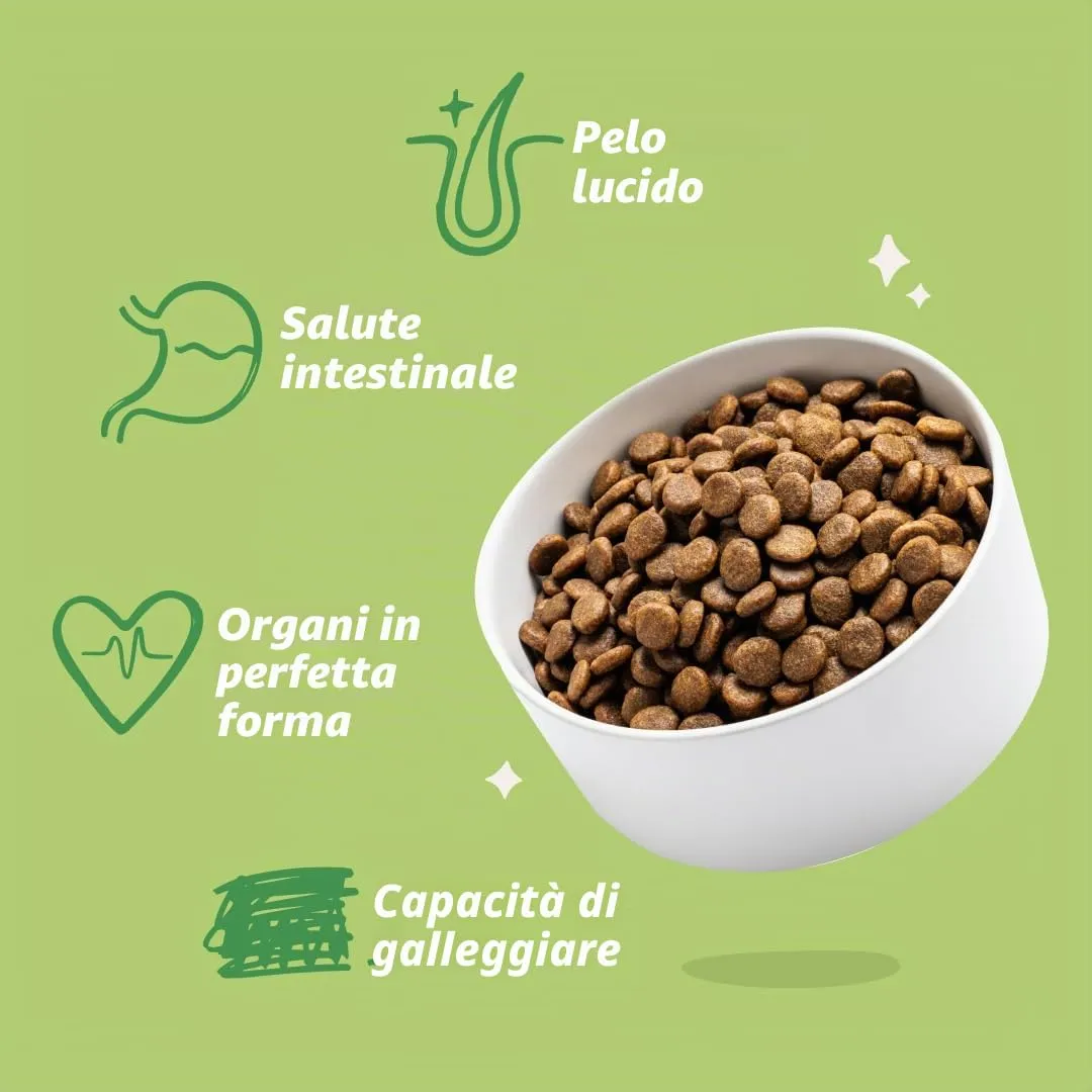 Edgard & Cooper Crocchette Cani Adulti Medium, Senza Cereali, Agnello Fresco, 1kg - immagine 7