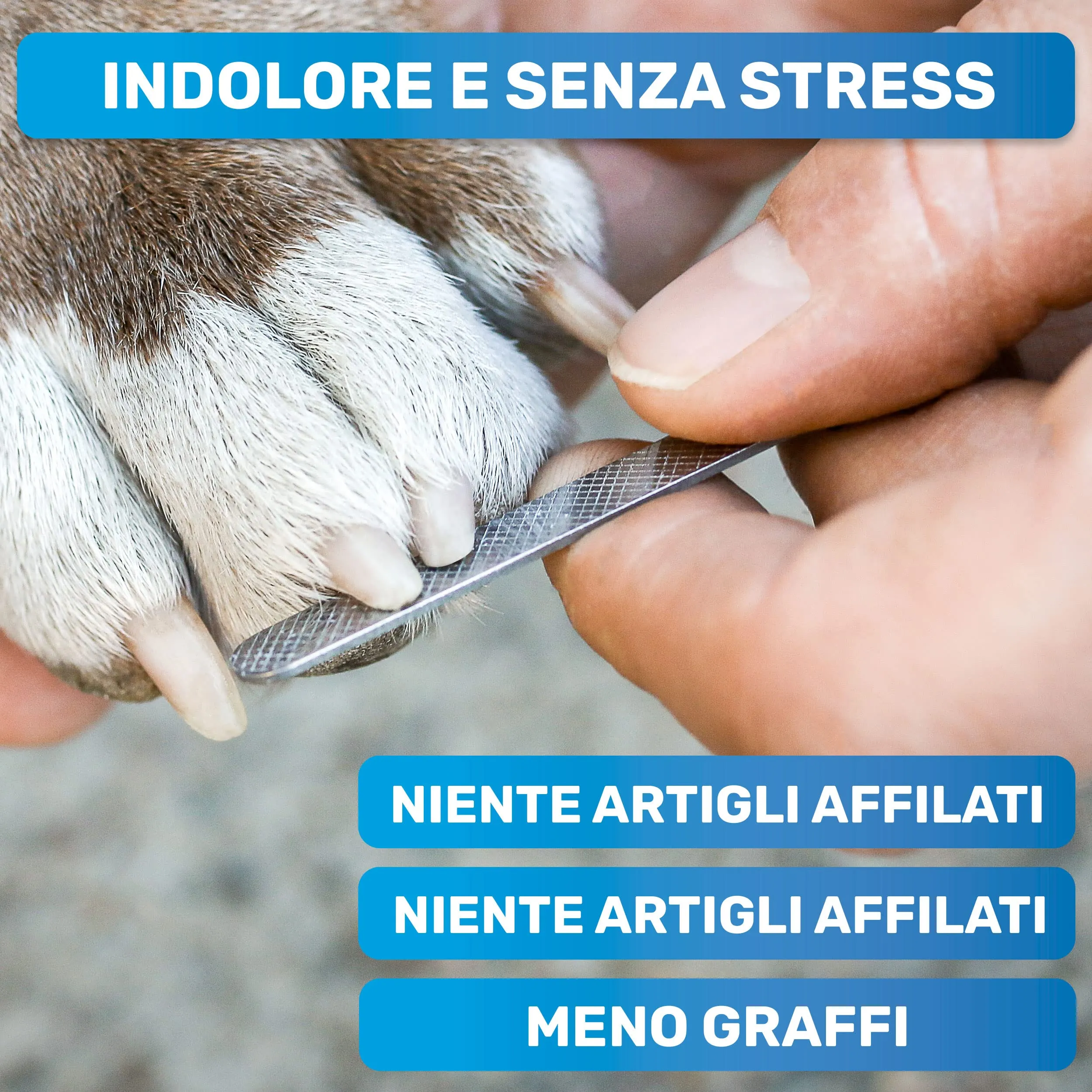 BluePet Forbici Unghie Professionali per Cani e Gatti con Protezione e Lima, Taglia S - immagine 5