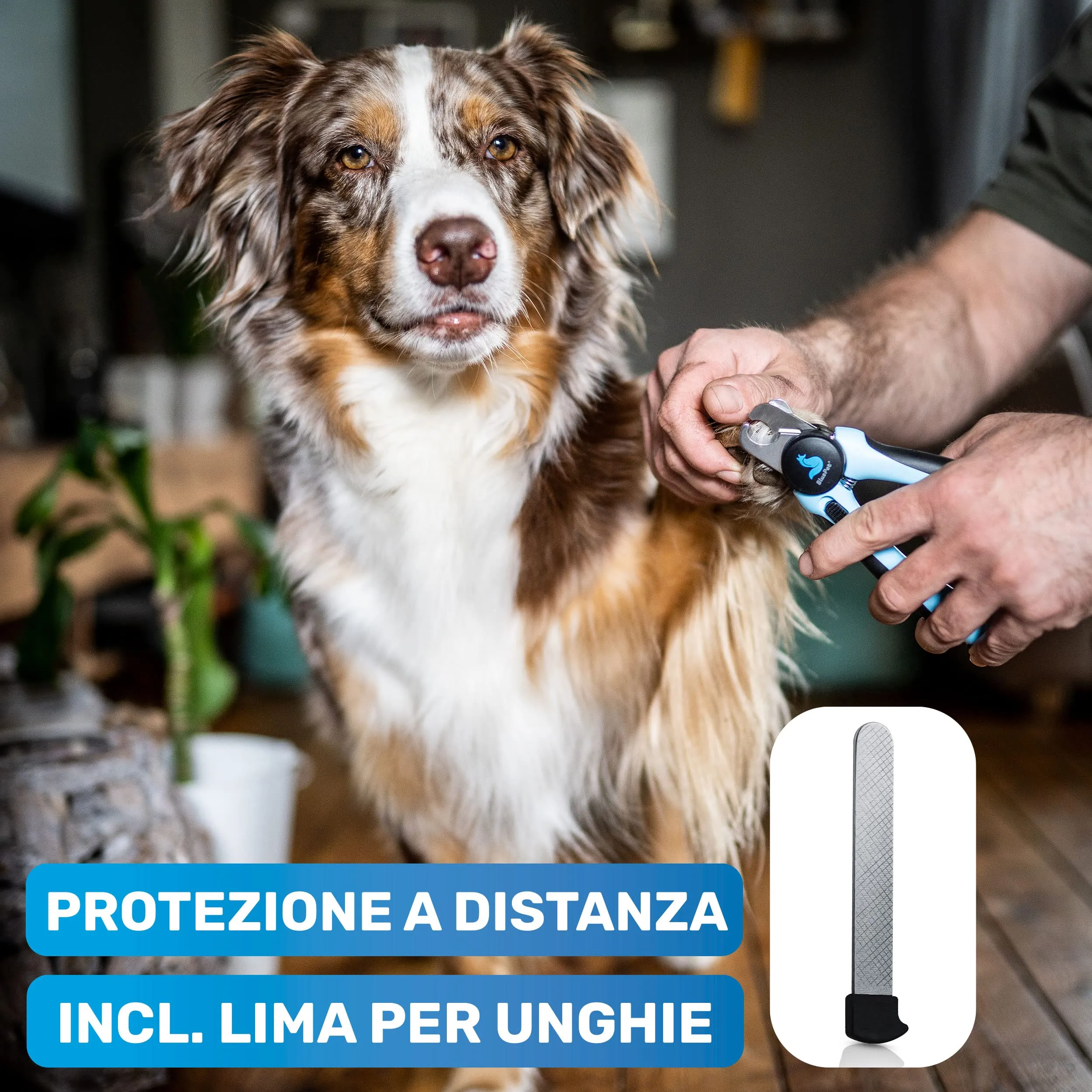 BluePet Forbici Unghie Professionali per Cani e Gatti con Protezione e Lima, Taglia S Piccoli animali, Rosa - immagine 7