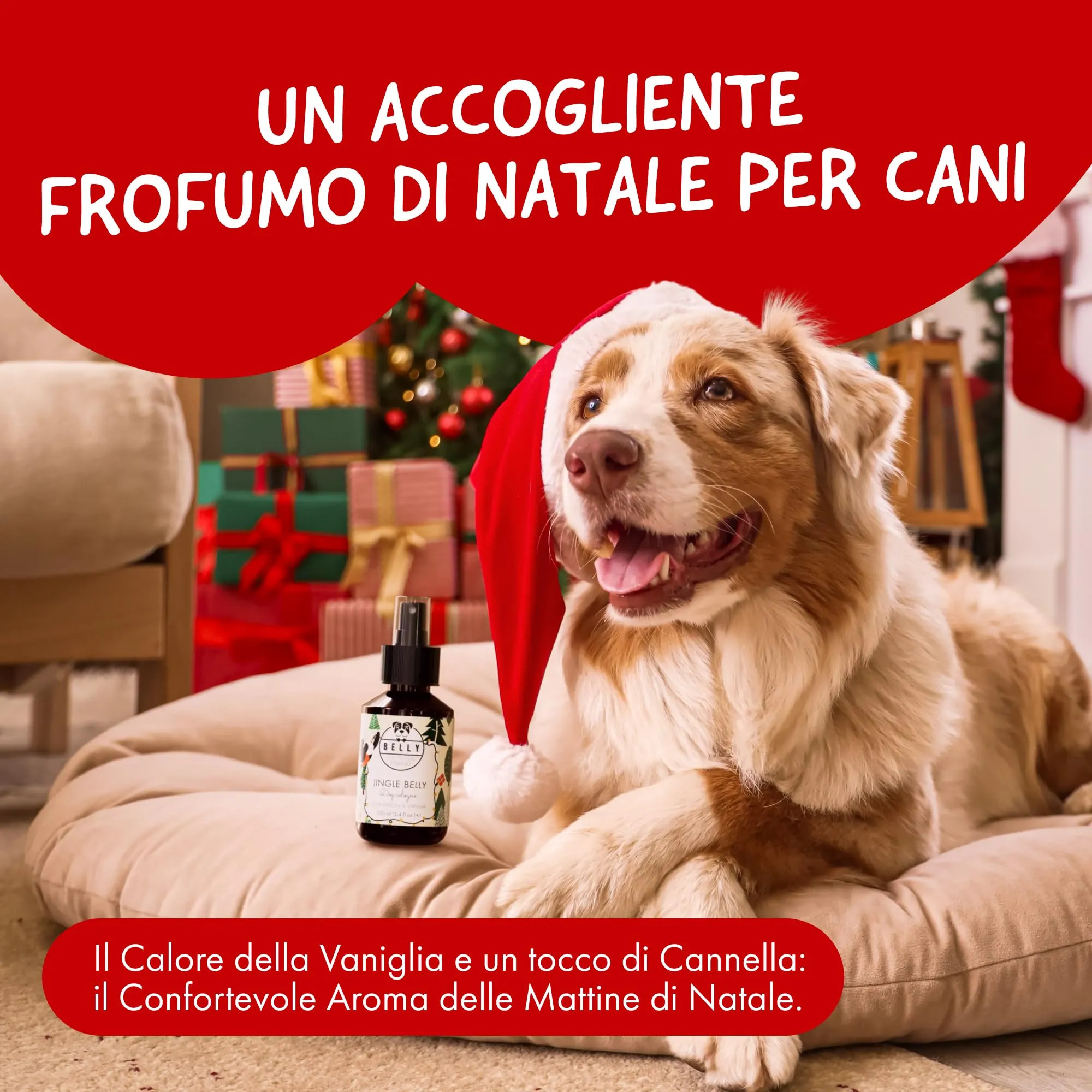 Belly Profumo di Natale per Cani Vaniglia & Cannella Spray Deodorante 100 ml - immagine 2