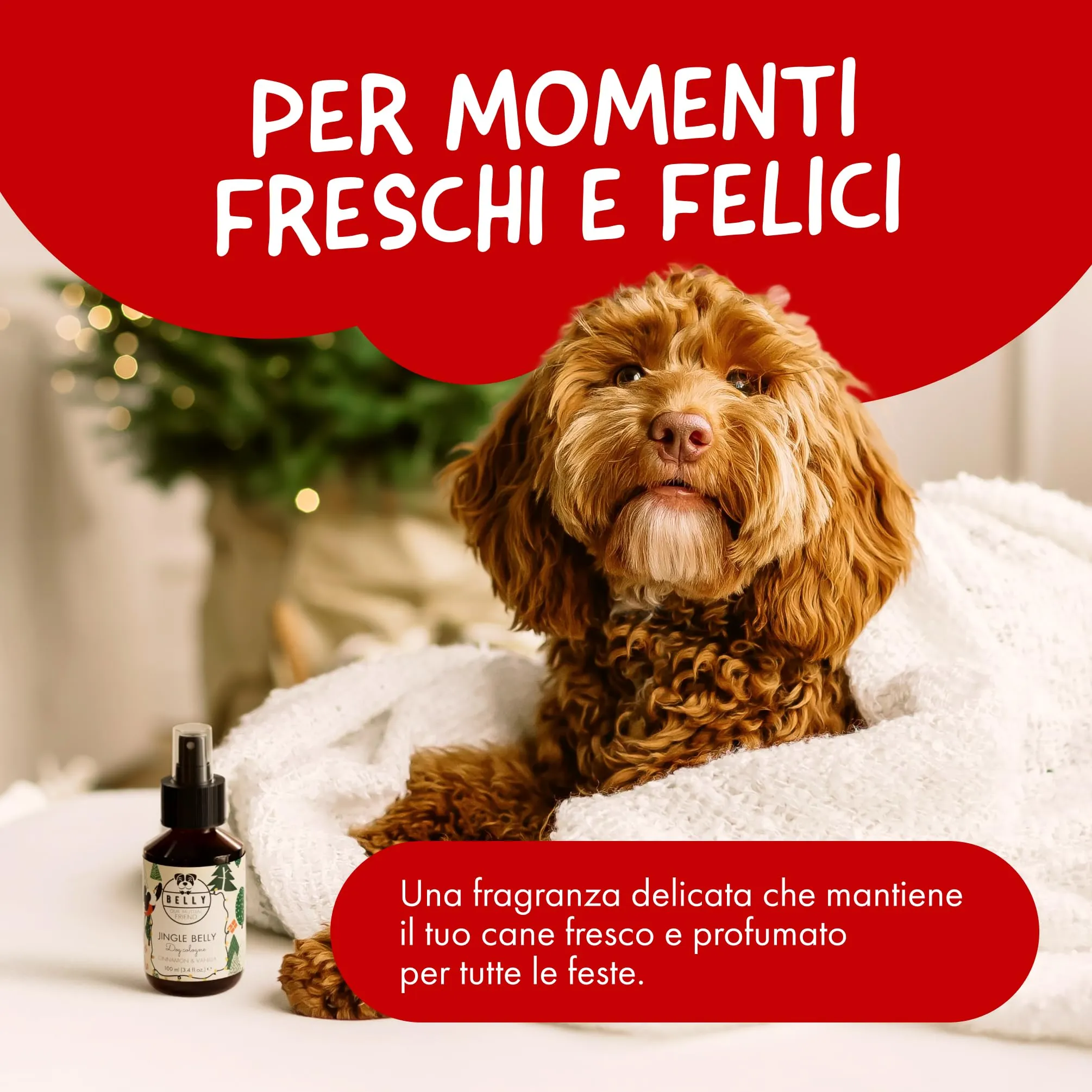 Belly Profumo di Natale per Cani Vaniglia & Cannella Spray Deodorante 100 ml - immagine 4