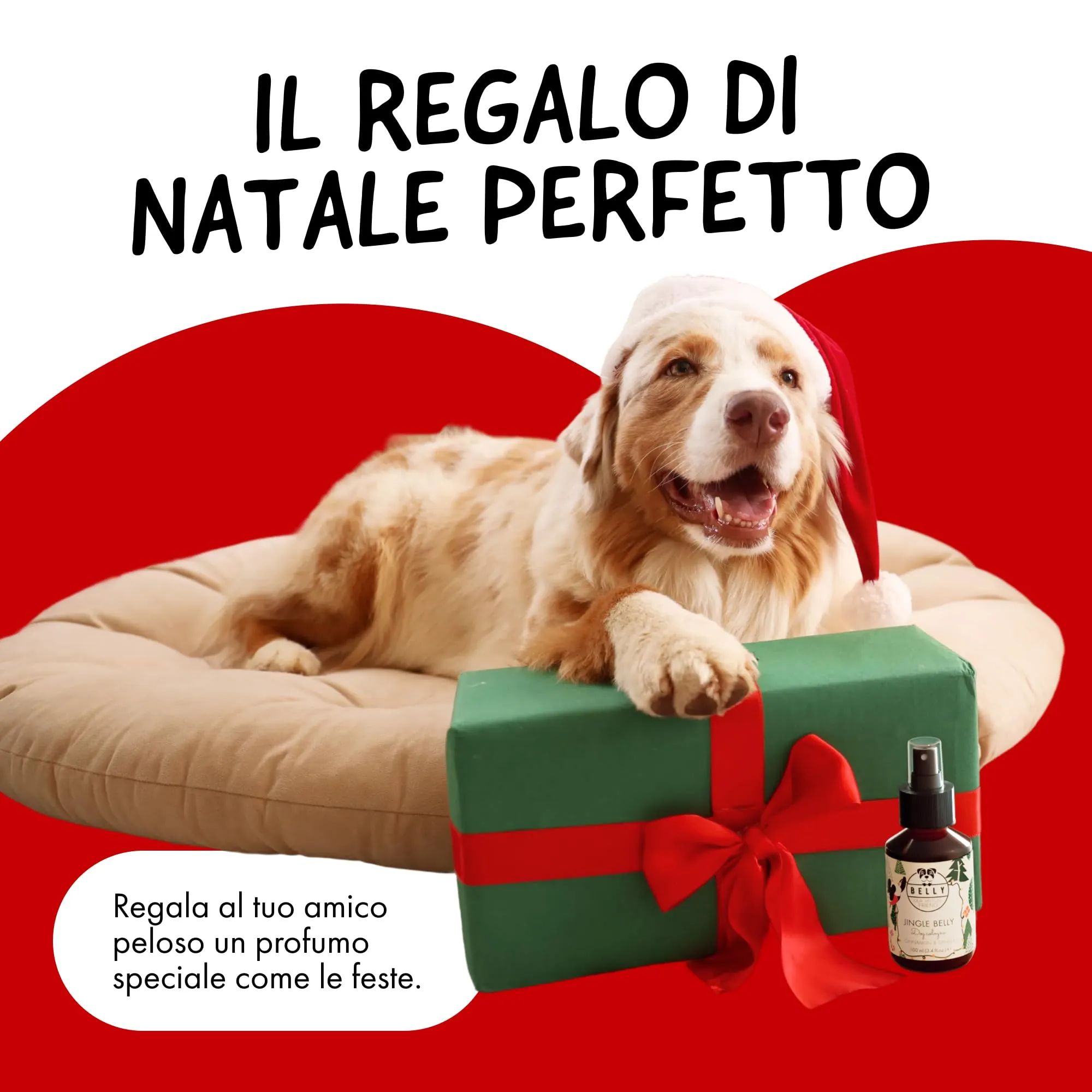 Belly Profumo di Natale per Cani Vaniglia & Cannella Spray Deodorante 100 ml - immagine 6
