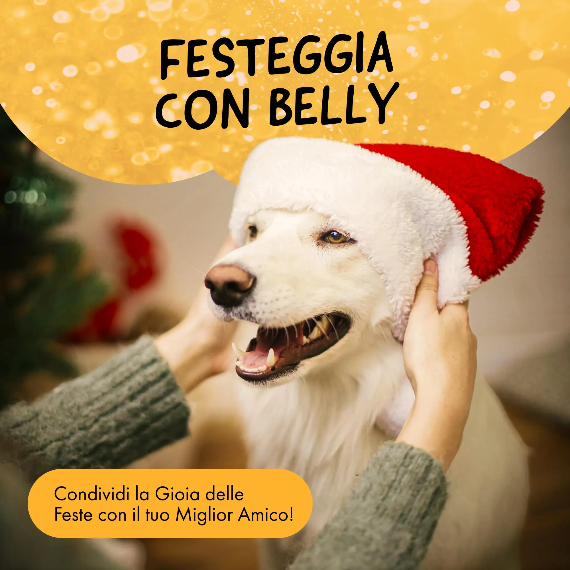 Belly Profumo di Natale per Cani Vaniglia & Cannella Spray Deodorante 100 ml - immagine 7