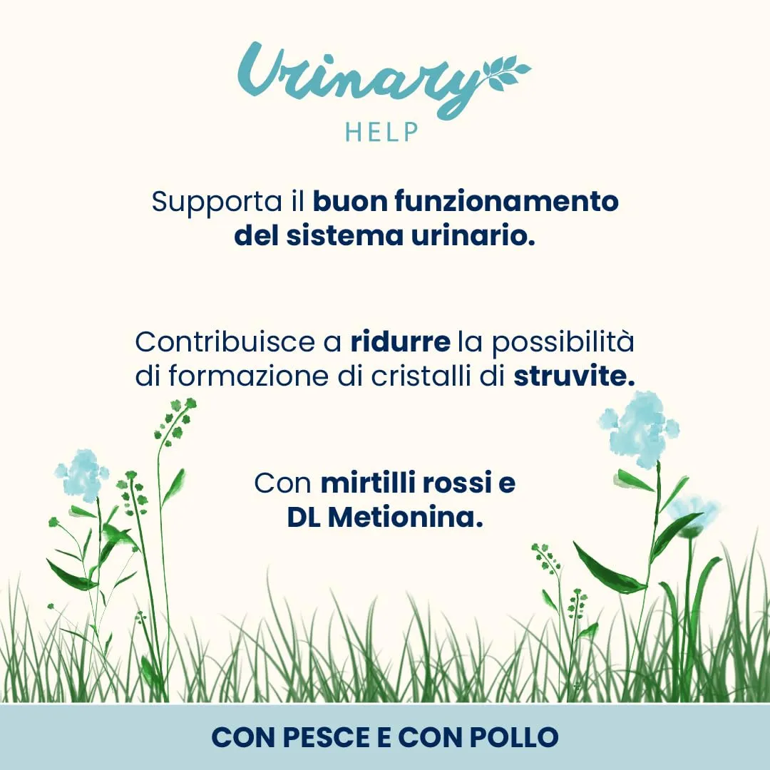 Almo Nature Functional Urinary Help Cibo Umido per Gatti Adulti Gusto Pesce e Pollo, 6 Buste da 70g - immagine 2