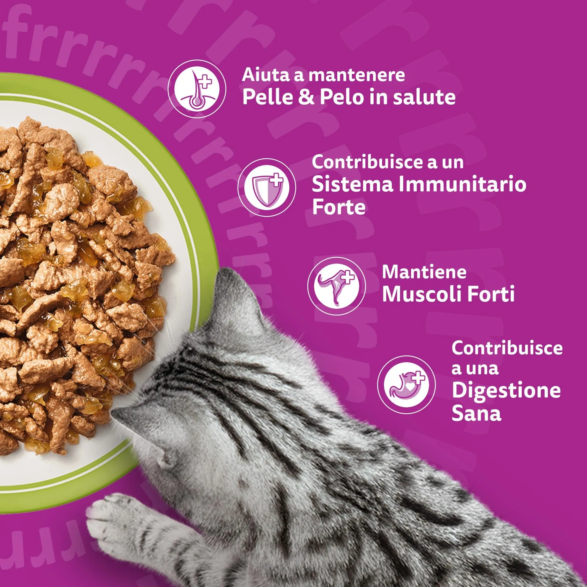 Whiskas Cibo Umido per Gatti Adulti in Gelatina, Selezione Assortita, 84 Bustine da 85 g - immagine 5
