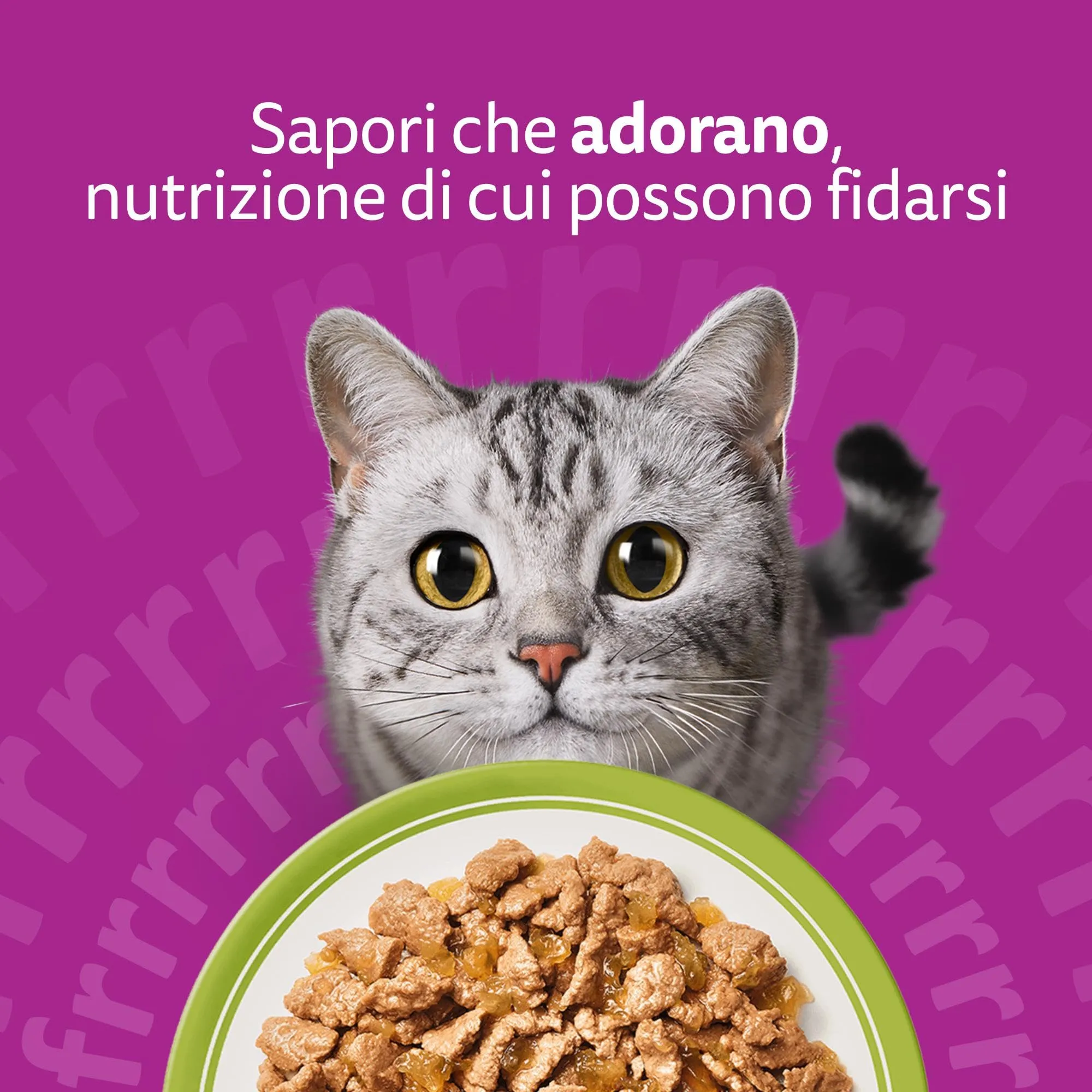 Whiskas Cibo Umido per Gatti Adulti in Gelatina, Selezione Assortita, 84 Bustine da 85 g - immagine 7