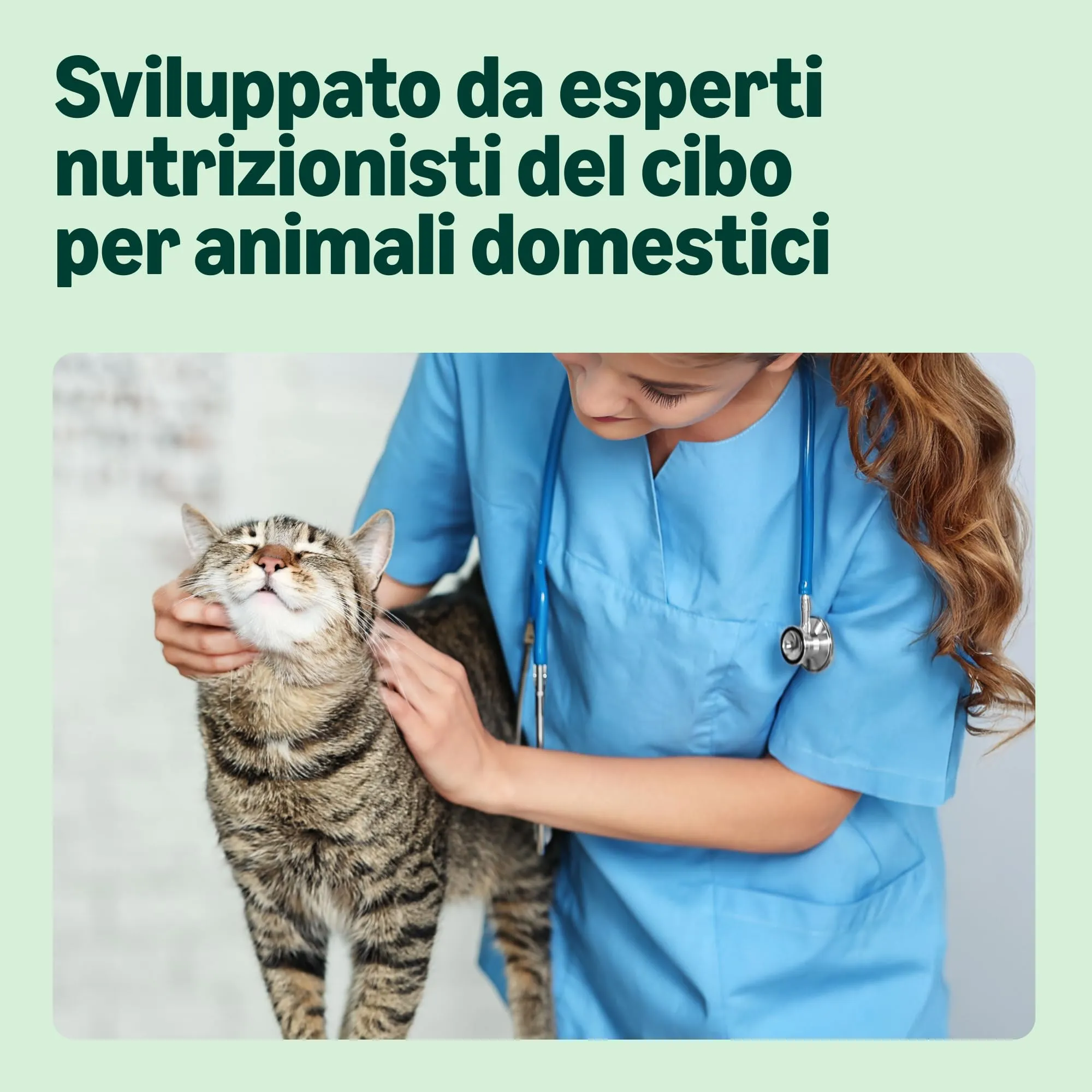 by Amazon Alimento completo senza cereali per gatti adulti, selezione mista in gelatina, 4,8 kg (48 x 100 g) - immagine 4