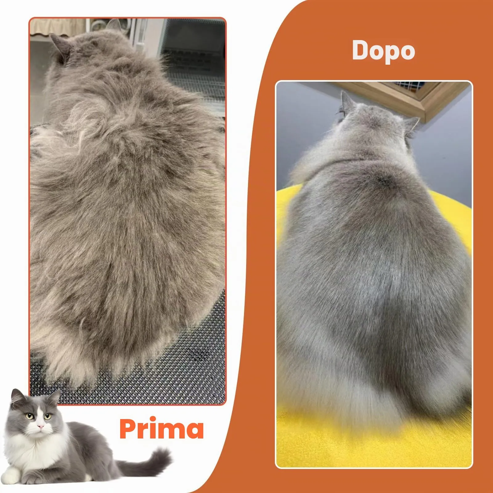 ACE2ACE Spazzola Autopulente per Gatti e Cani, Pelo Lungo e Corto, Orange - immagine 5