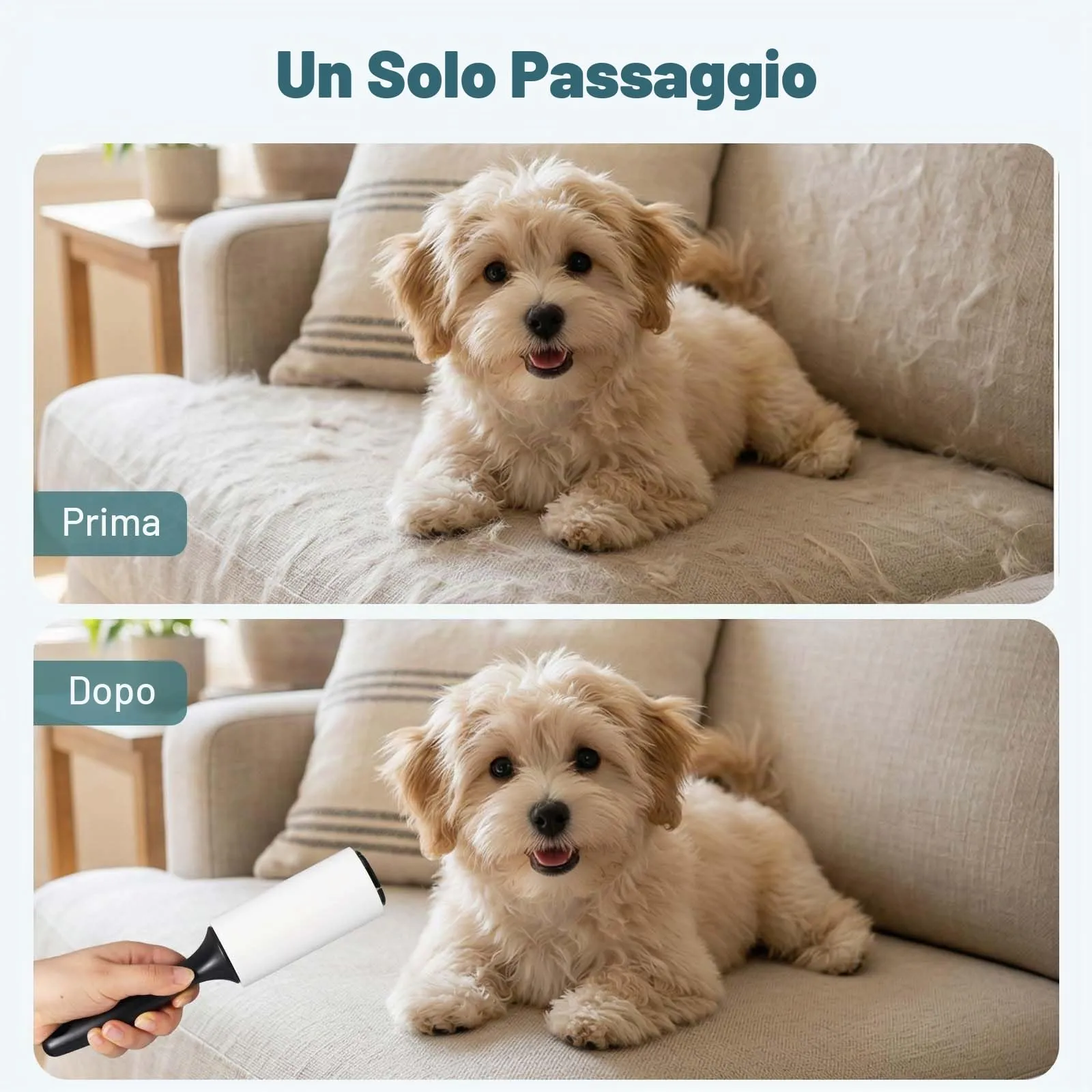 Oderra Rullo Levapelucchi Autoadesivo con 6 Rotoli - immagine 6