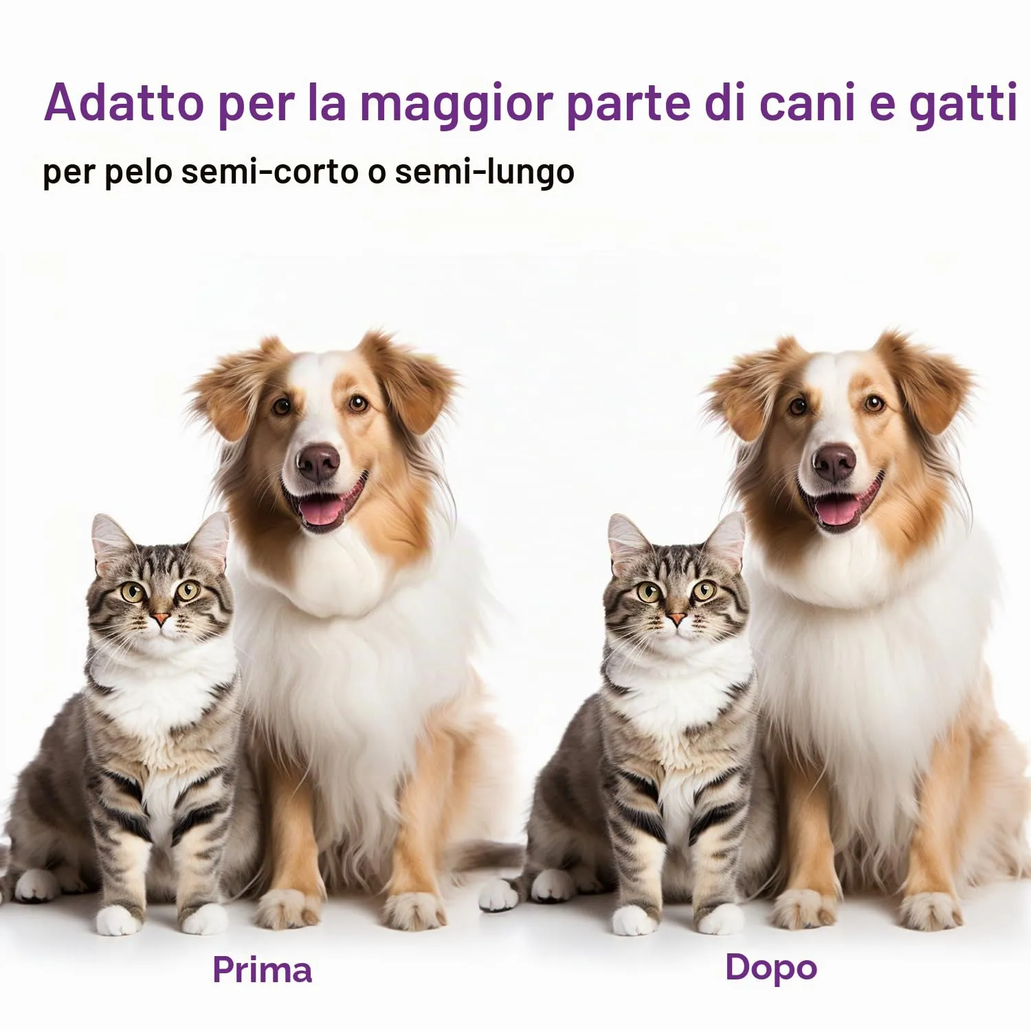 ACE2ACE Spazzola Autopulente per Cani e Gatti, Pelo Lungo e Corto, Bianco - immagine 6