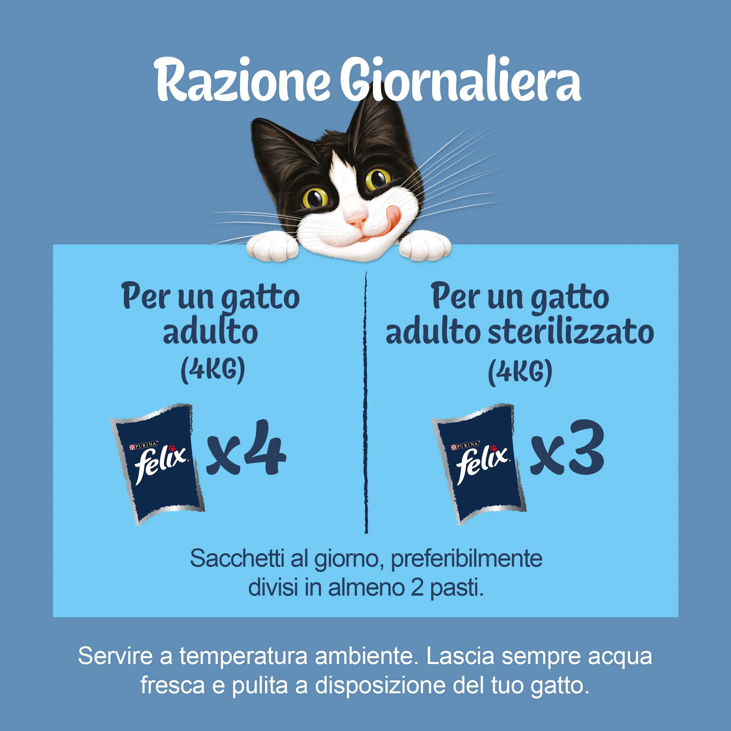 Felix Original Cibo Umido per Gatti Adulti, 60 Bustine da 85g - immagine 7