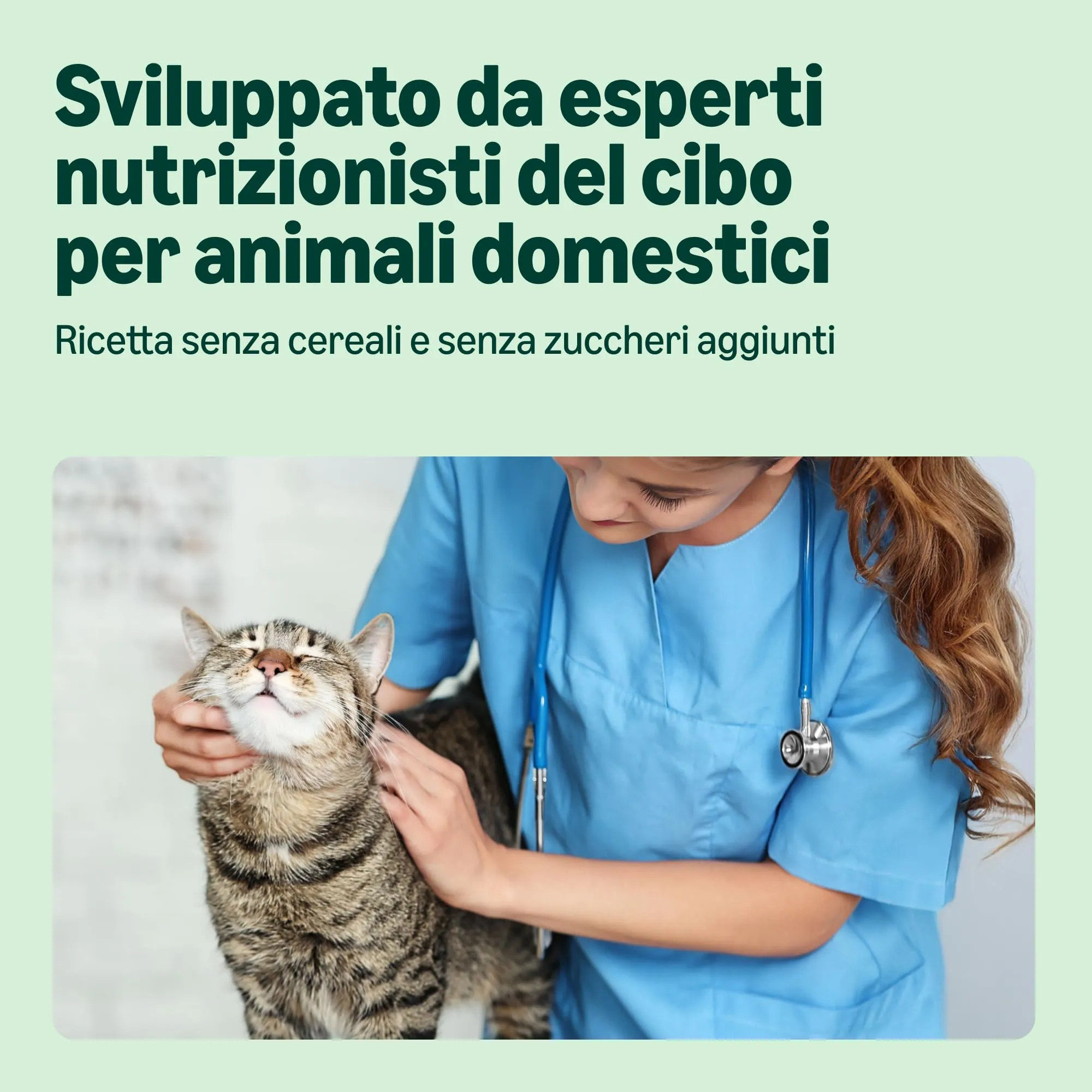 Amazon Cibo Umido per Gatti Senza Cereali, Paté di Pollo, 12 x 400 g - immagine 3
