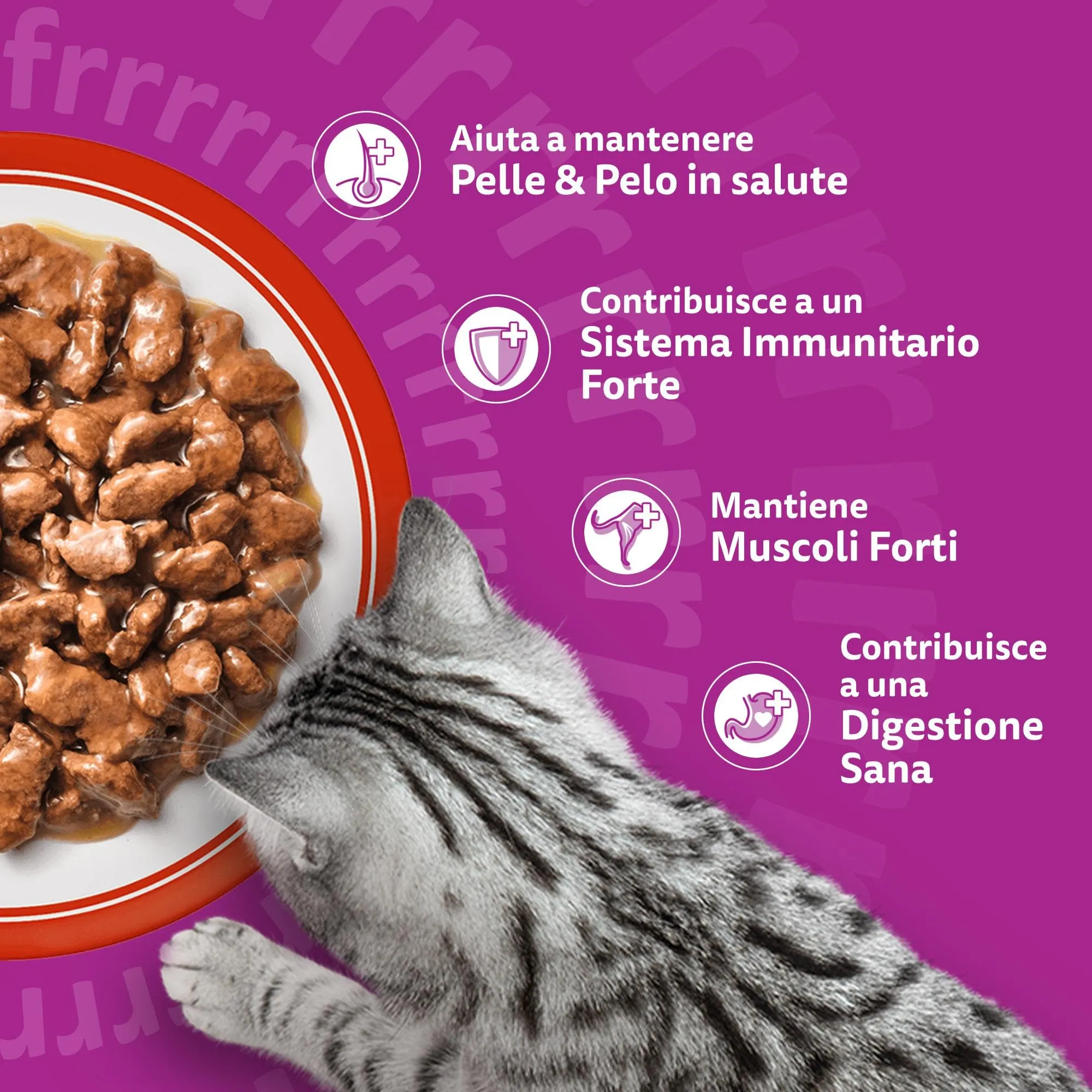 Whiskas Cibo Umido in Salsa per Gatti Adulti Selezione Gustosa 84x85g - immagine 5