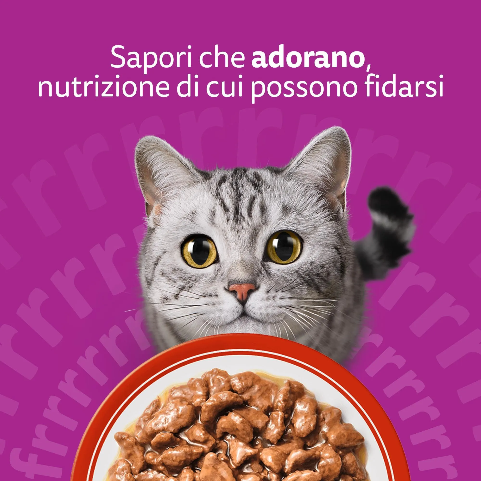 Whiskas Cibo Umido in Salsa per Gatti Adulti Selezione Gustosa 84x85g - immagine 7