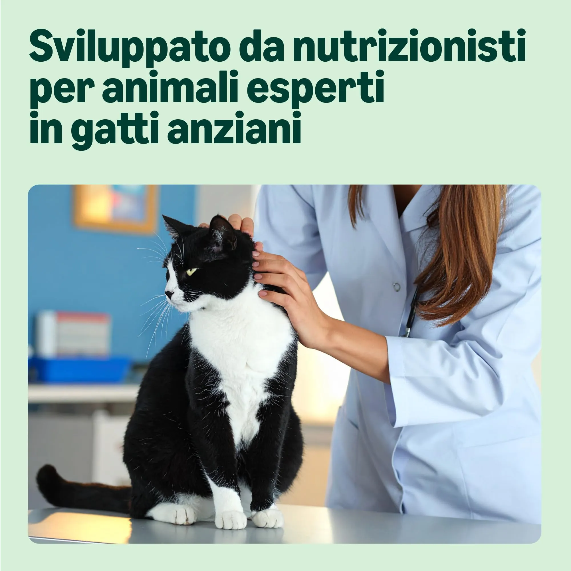 by Amazon Alimento completo per gatti anziani, Selezione mista in gelatina, 4.8kg (48 sacchetti da 100g) - immagine 5