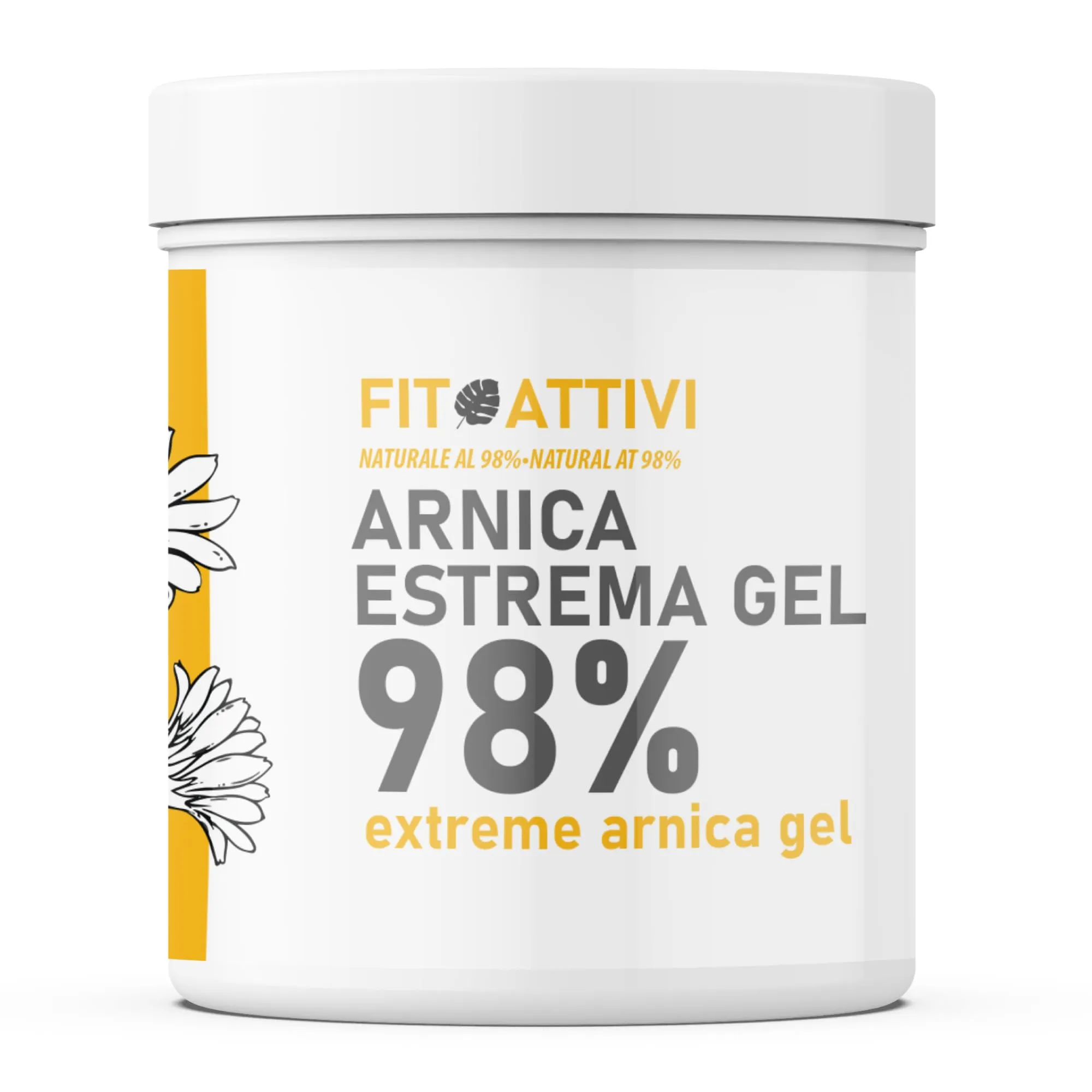 Fitoattivi Natura e Benessere Arnica Gel Forte 98% con Vitamina E, Menta e Lavanda, 550 ml - immagine 1