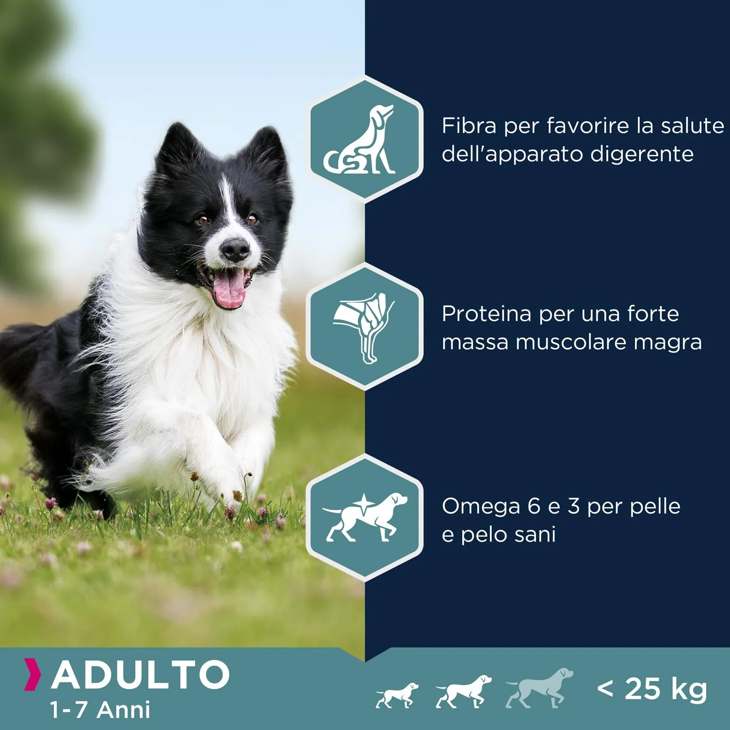 Eukanuba Cibo per cani con agnello e riso per razze piccole e medie, adulto, 12 kg - immagine 4